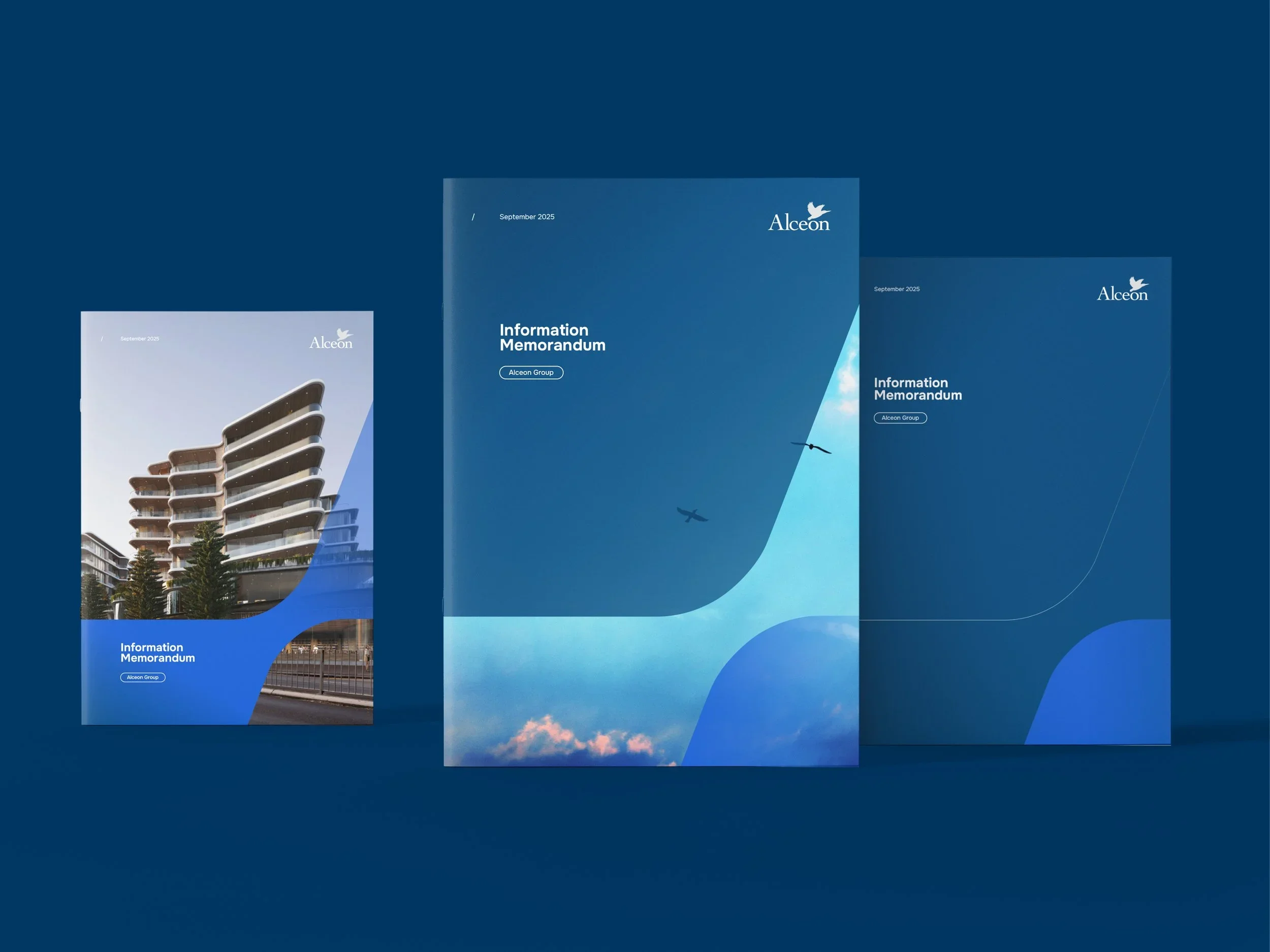 Alceon brochure cover designs