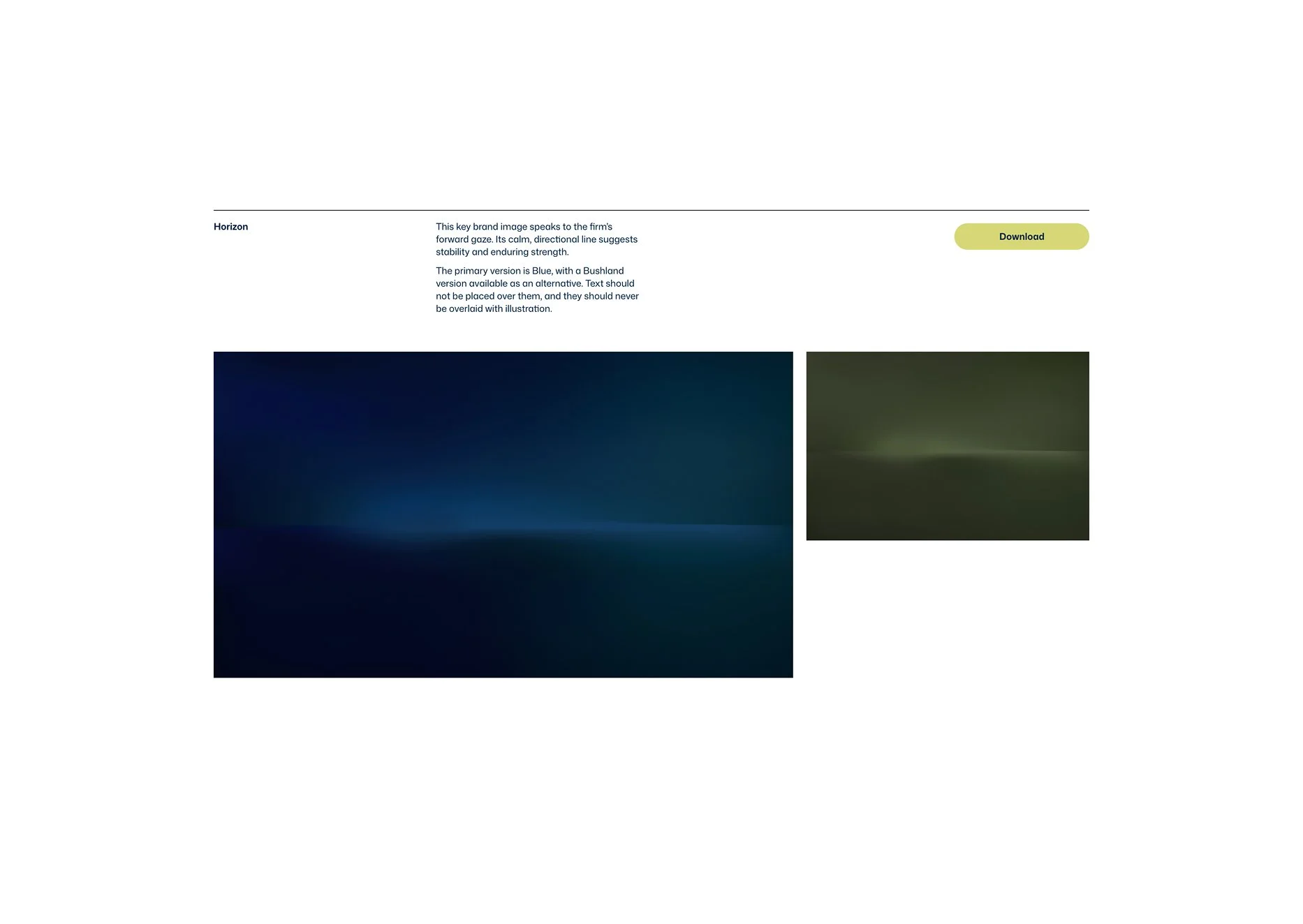 Screenshot of brand guidelines