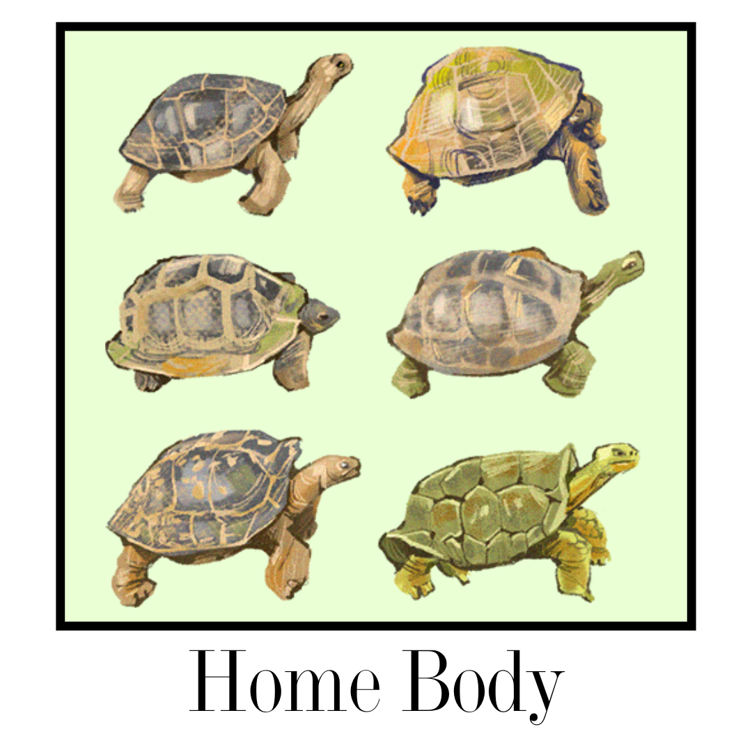 Home Body.png