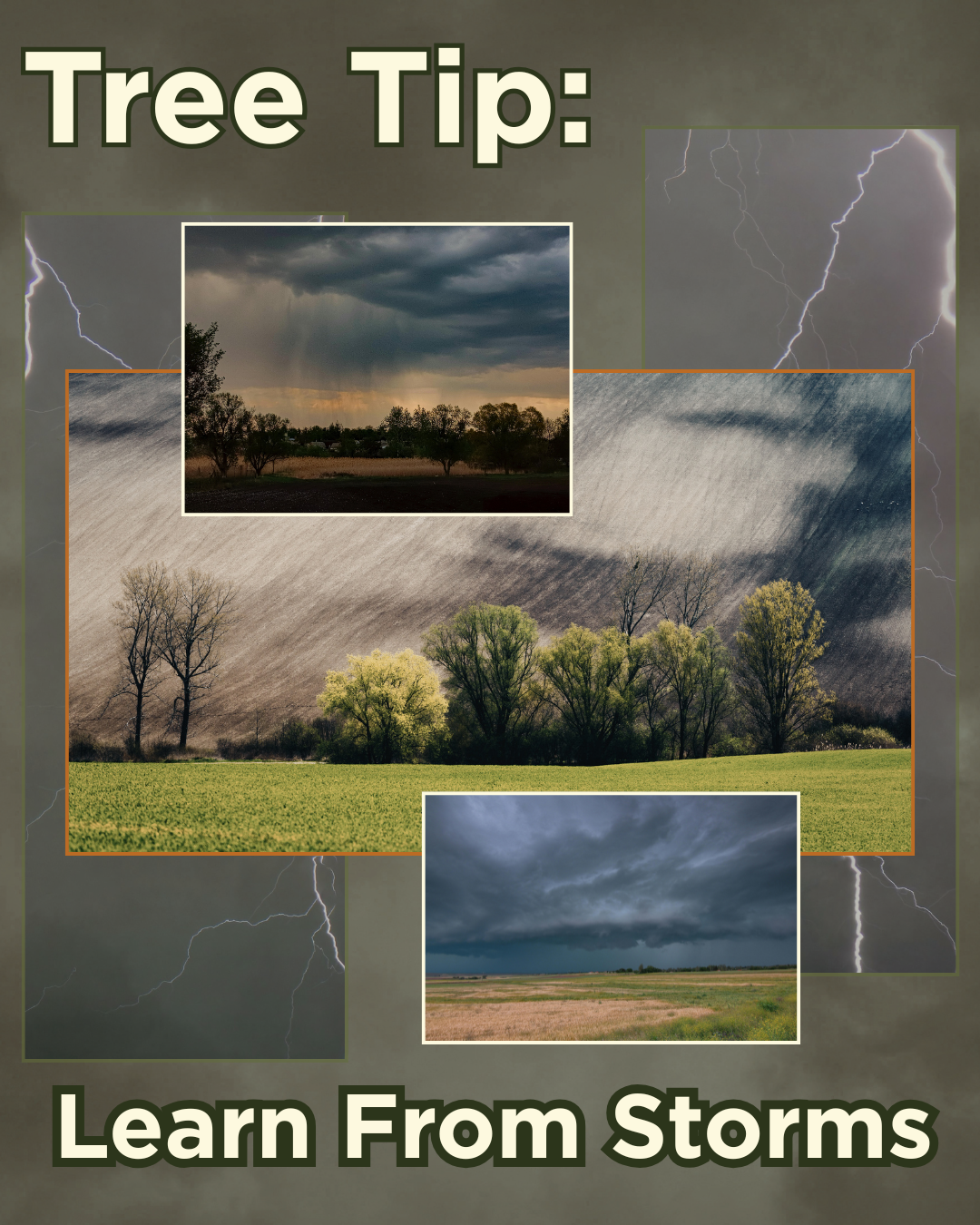 Copy of SWTS 4-6-26.png