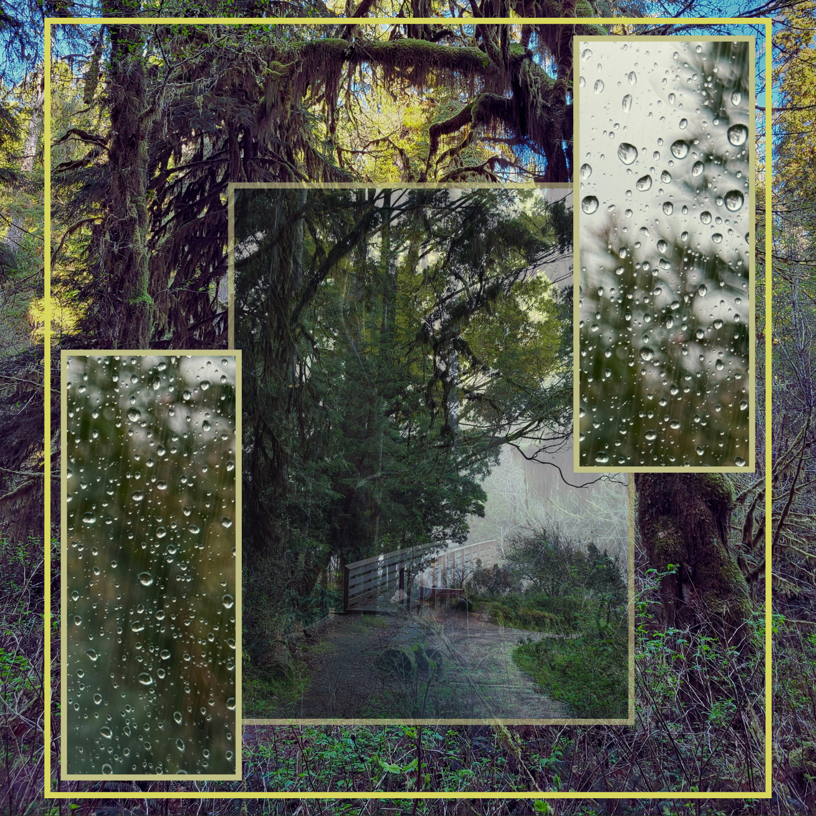 the trees do not care about your feelings.png