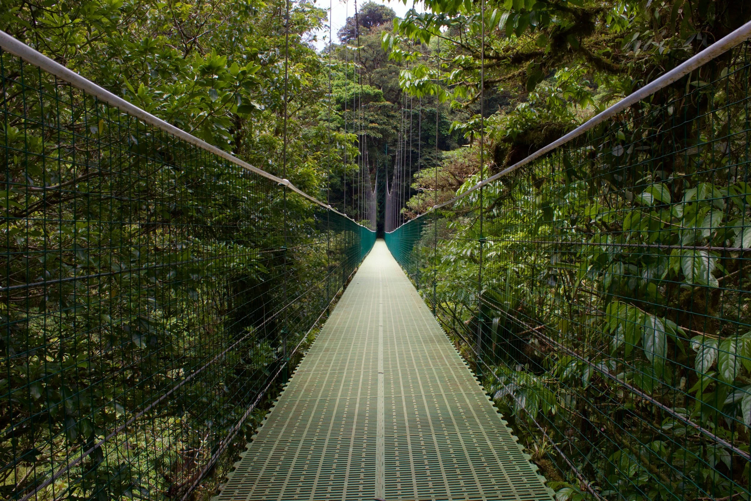 unsplash-image-qrNjBApCZBM.jpg