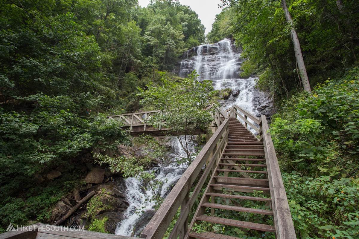 amicalola-falls-lower-loop-5852.jpeg
