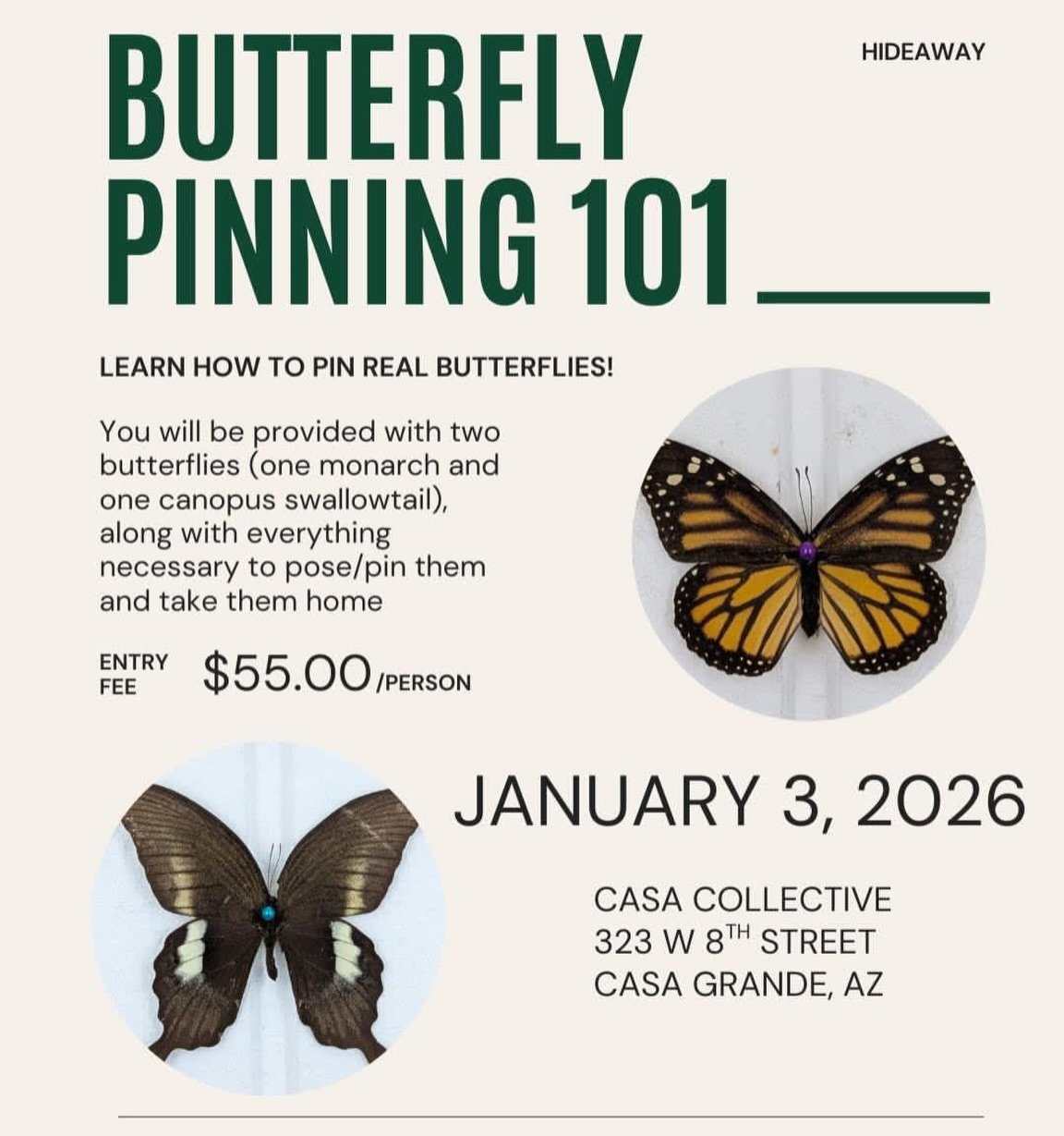 Join @hideawayinsectart  and learn how to pin two real butterflies!

One monarch butterfly and one canopus butterfly will be provided to you, along with all of the supplies and guidance that you will need to pose them.

Once done, the butterflies can