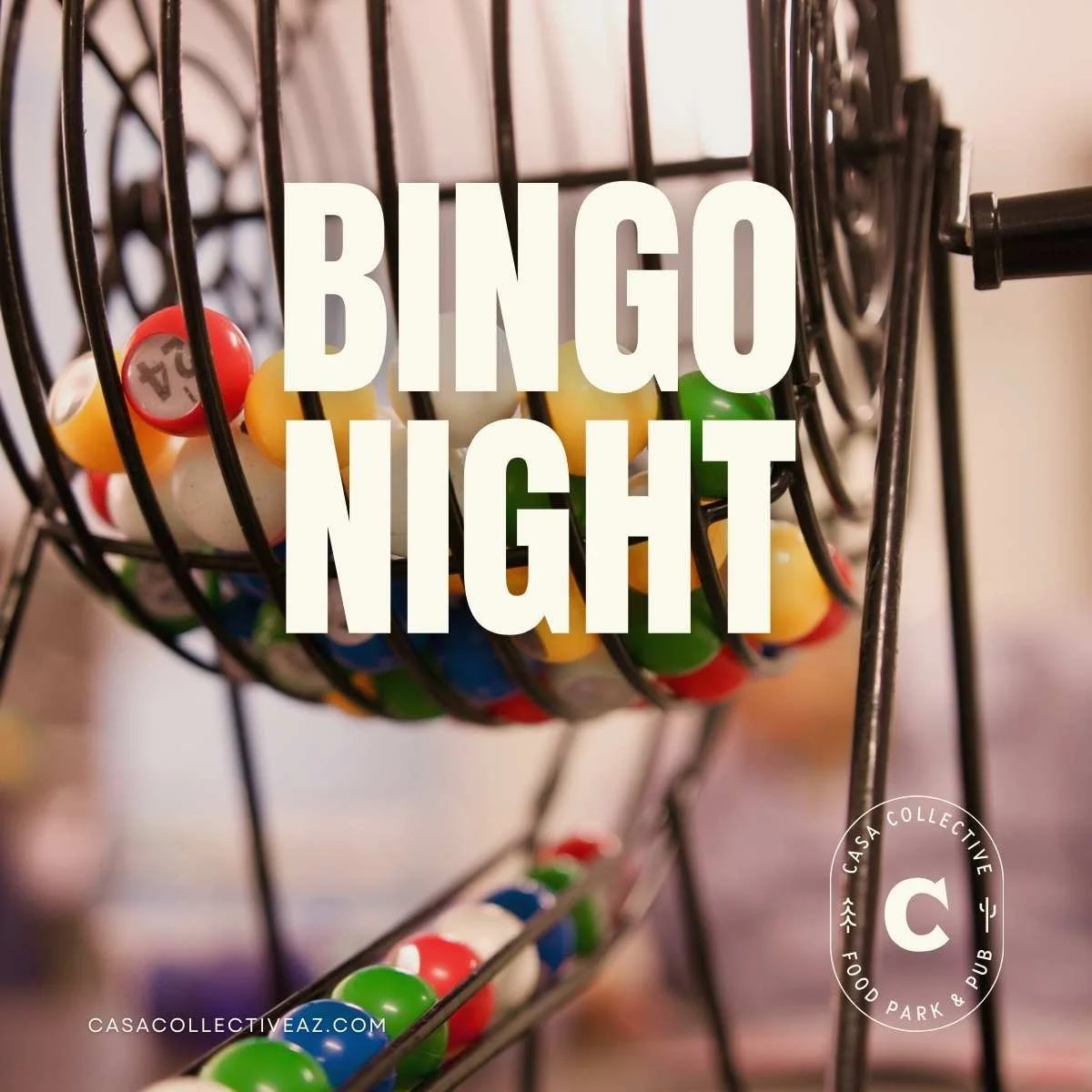 BINGO NIGHT
