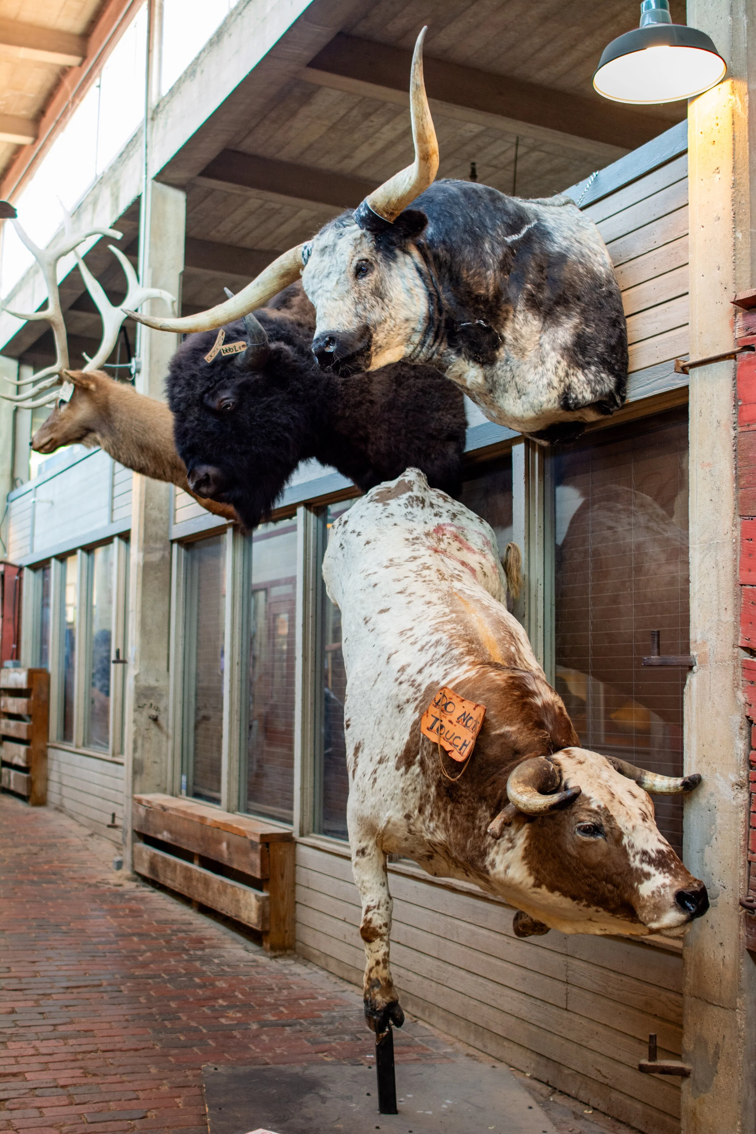 FortWorthStockyards_2024-03.jpg
