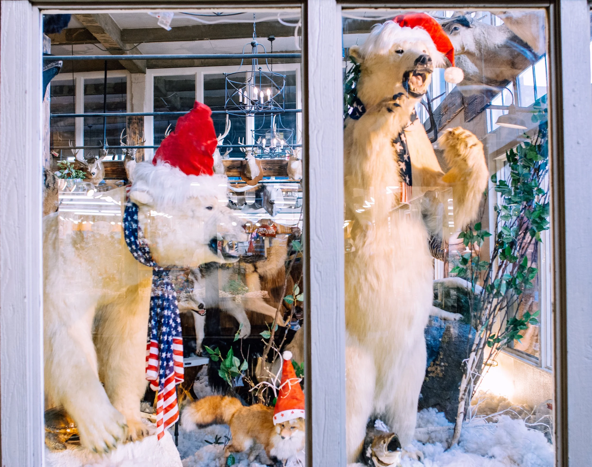 Fort Worth Stockyards2_2024-03.jpg