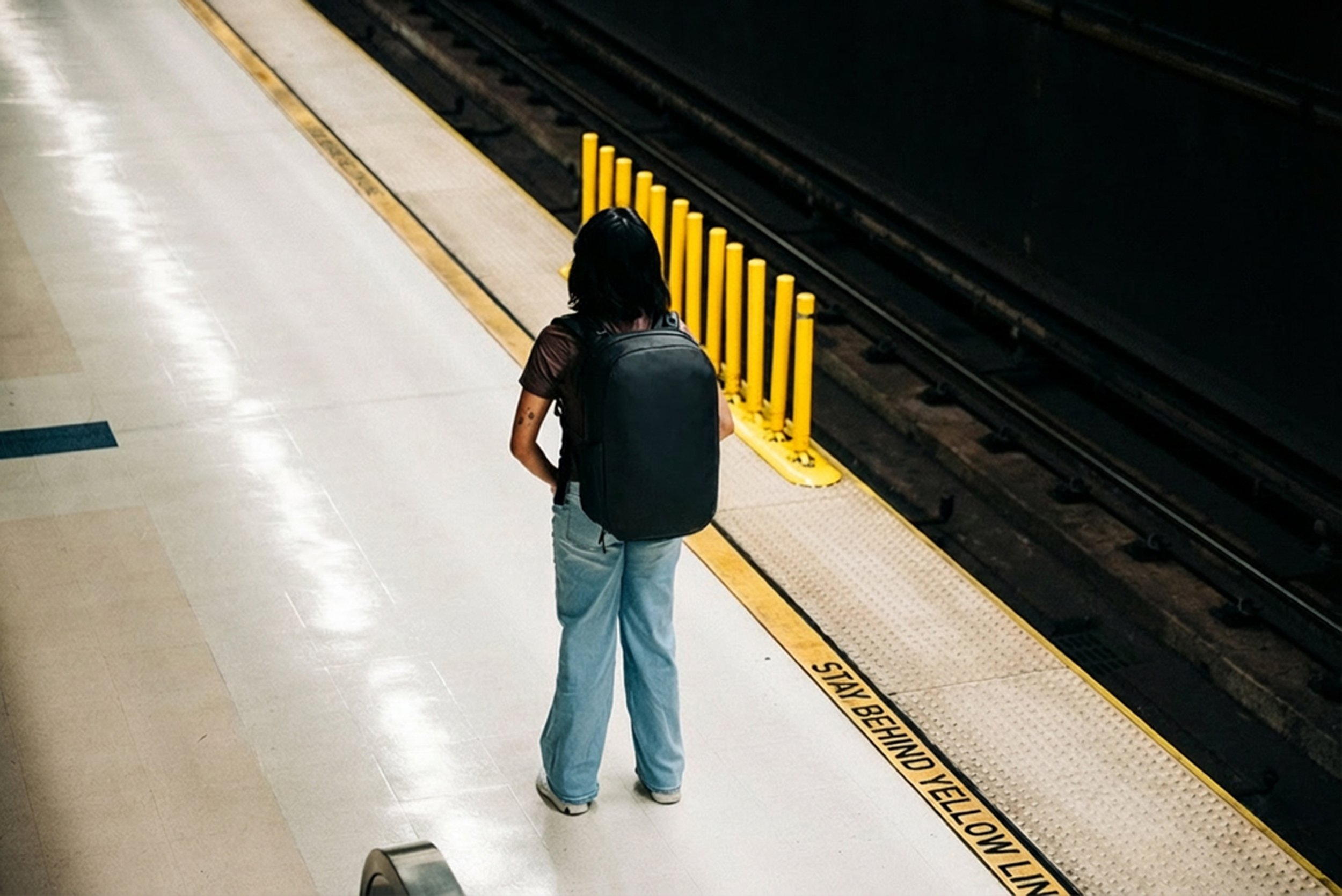 Tortuga_Michelle483.jpg