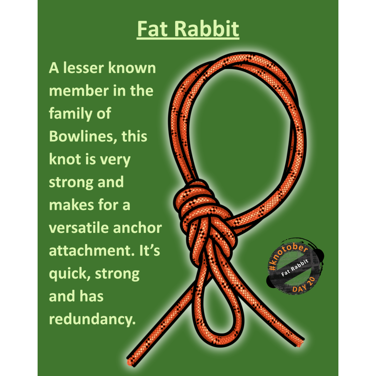 Fat rabbit knot inforgraphic