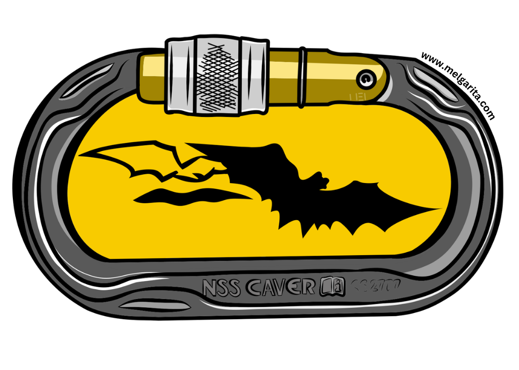 NSS Caver Carabiner (1).png