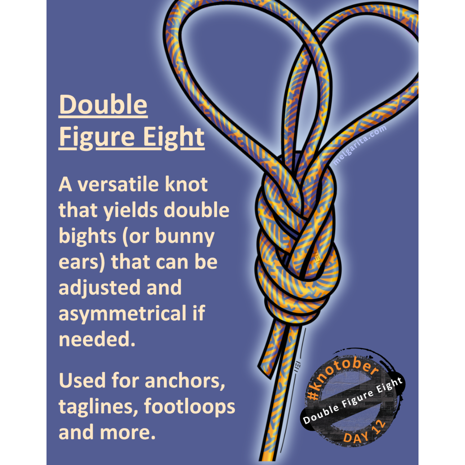 Double figure eight knot infographic