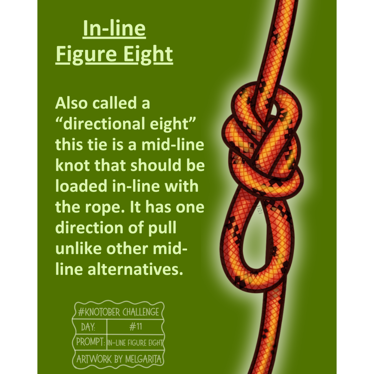 In-line figure eight knot infographic
