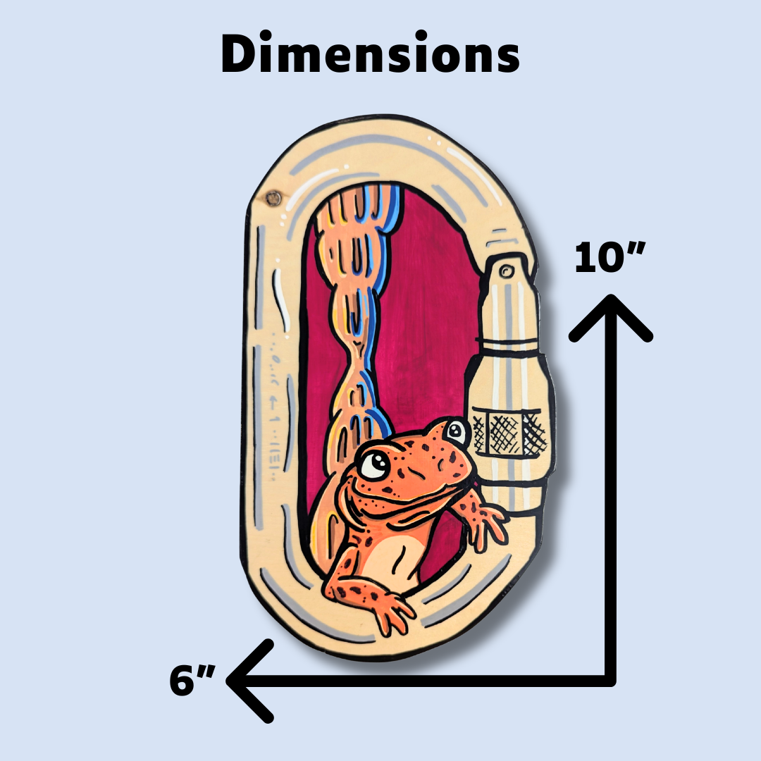 Cave salamander painting dimensions.png