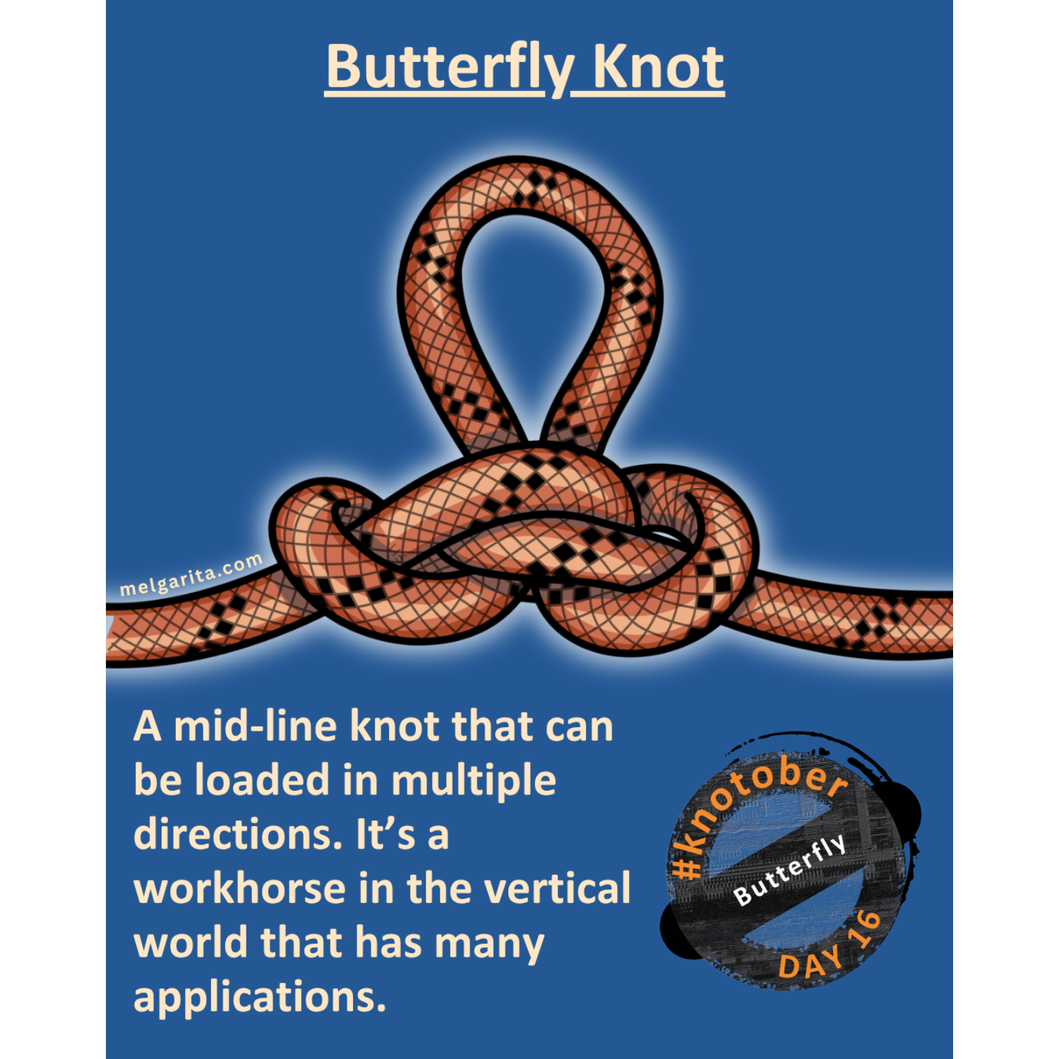 Butterfly knot inforgraphic