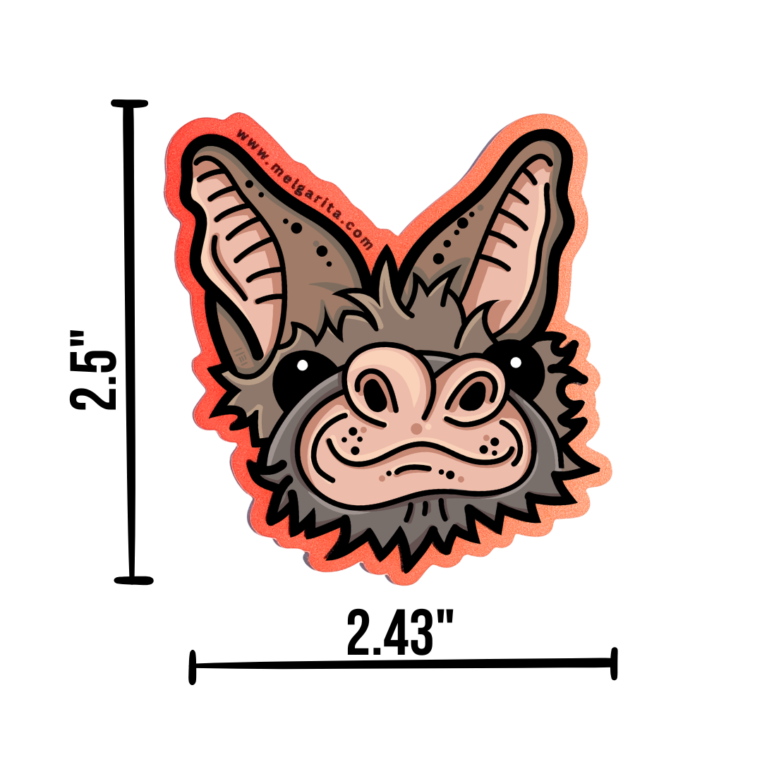 Freetail bat demension.png