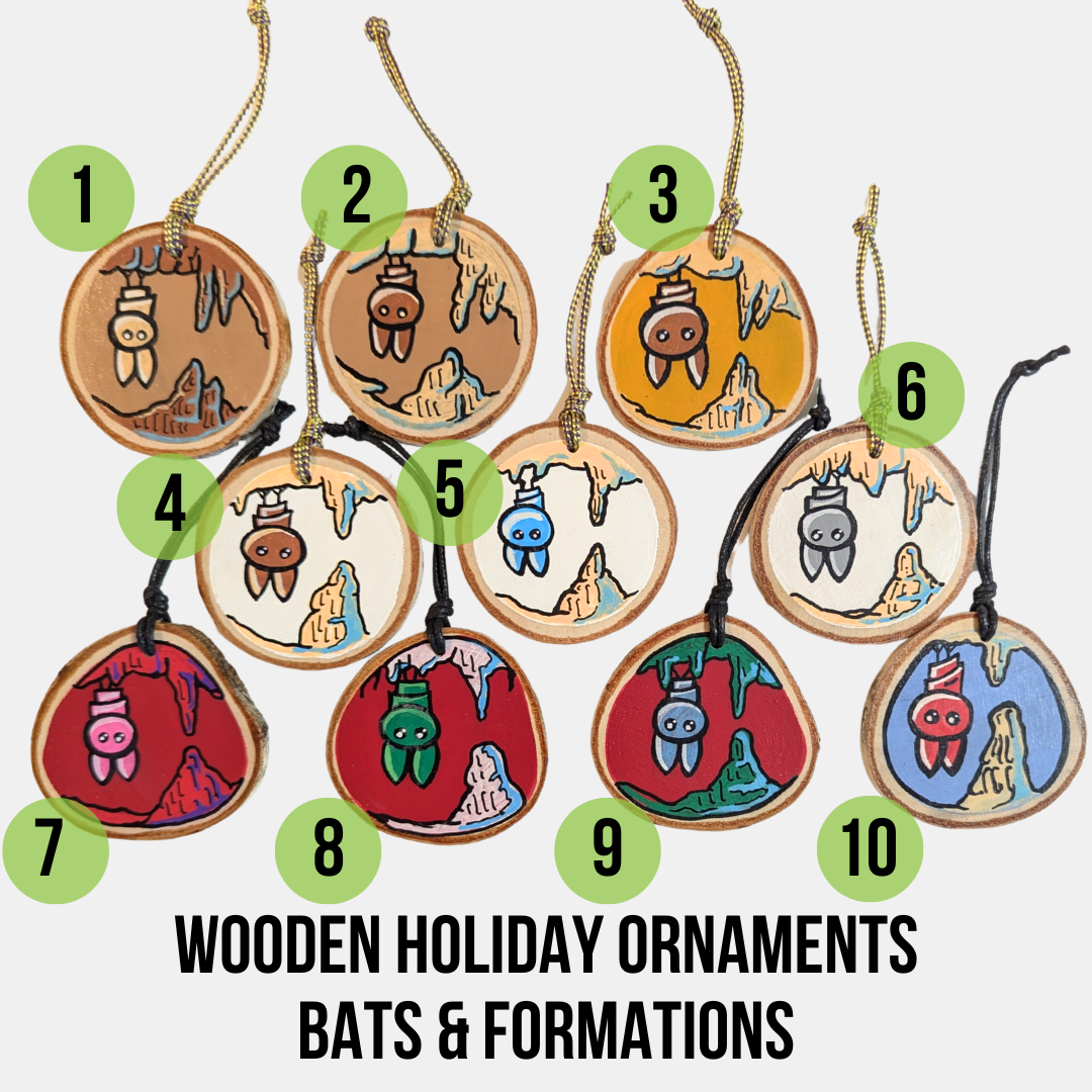 Ornaments- all fronts.png
