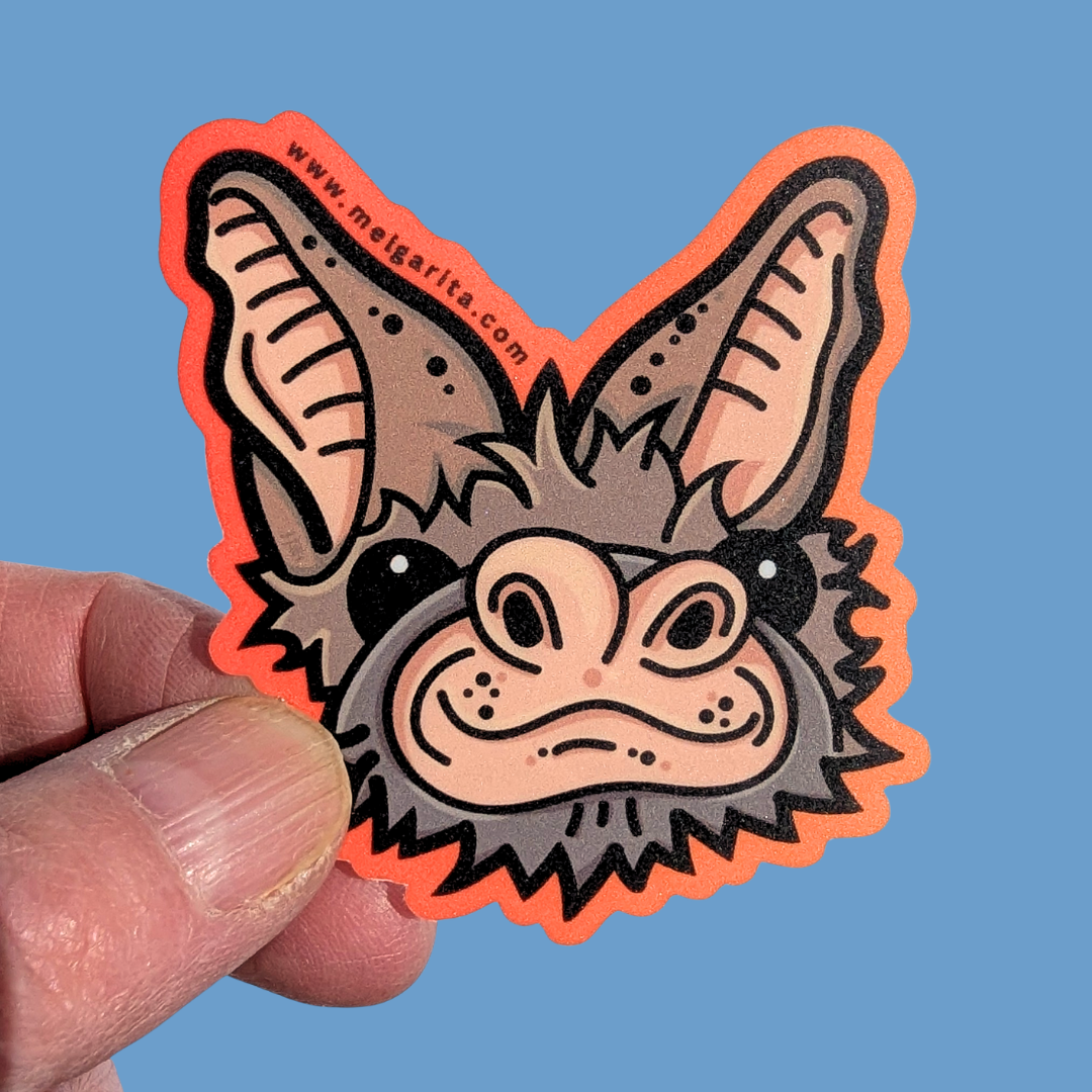 Freetail bat in hand.png