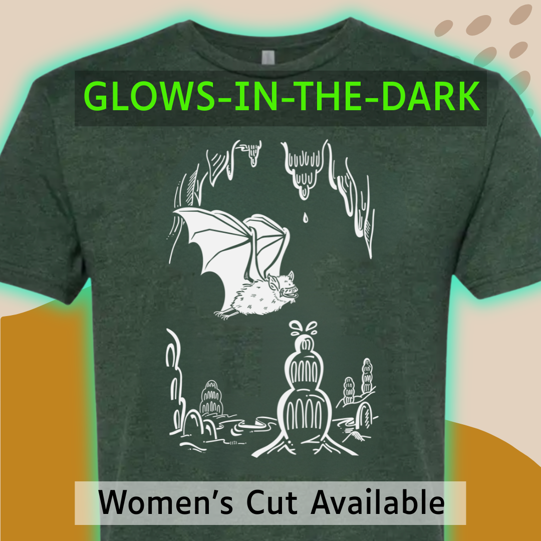 Glow cave and bat LP.png