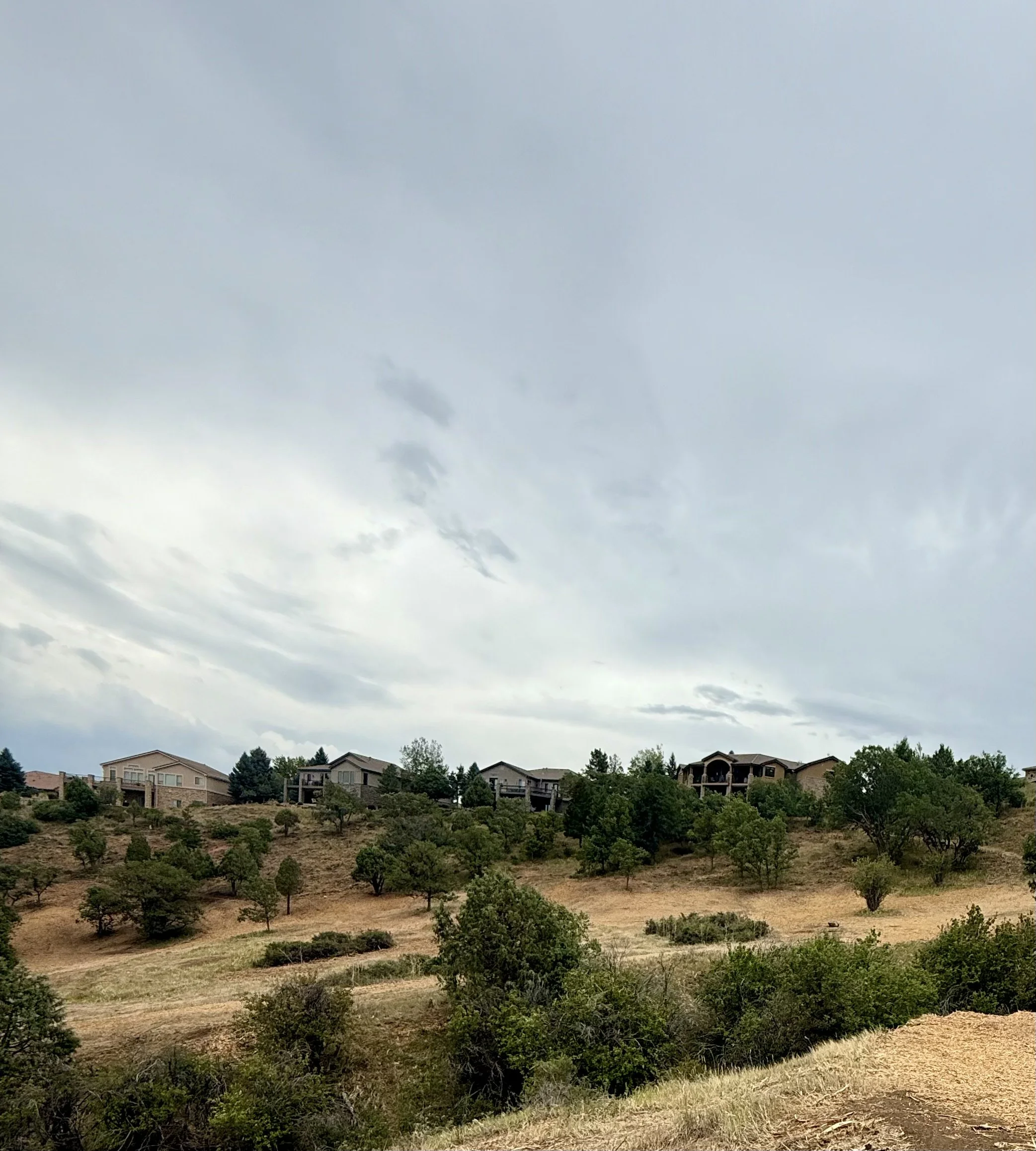 IMG_5826.jpeg