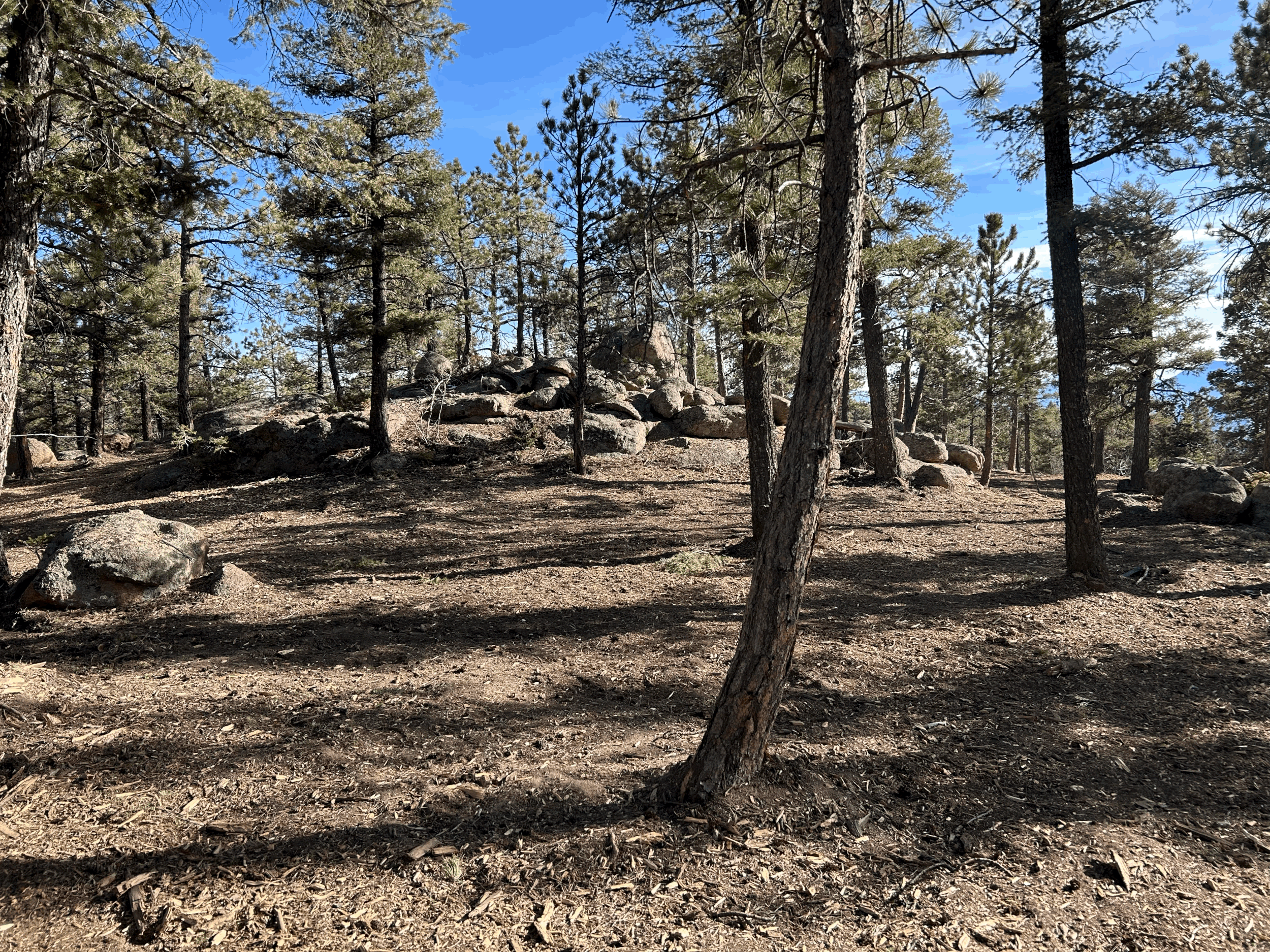 El PICO-I- WILDLAND FIRE FUELS REDUCTION-17 acres 