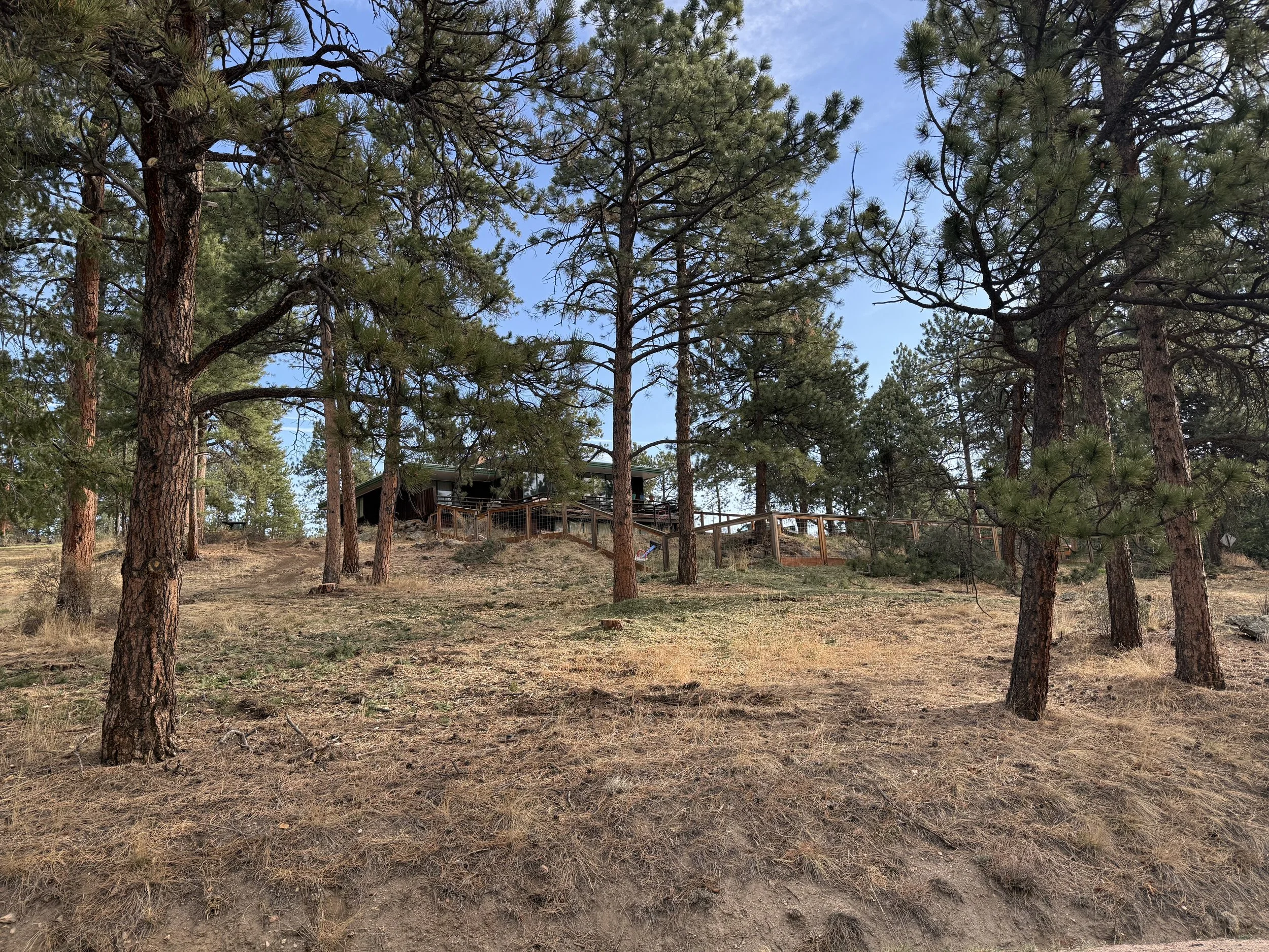 Hiwan Hills Defensible Space 