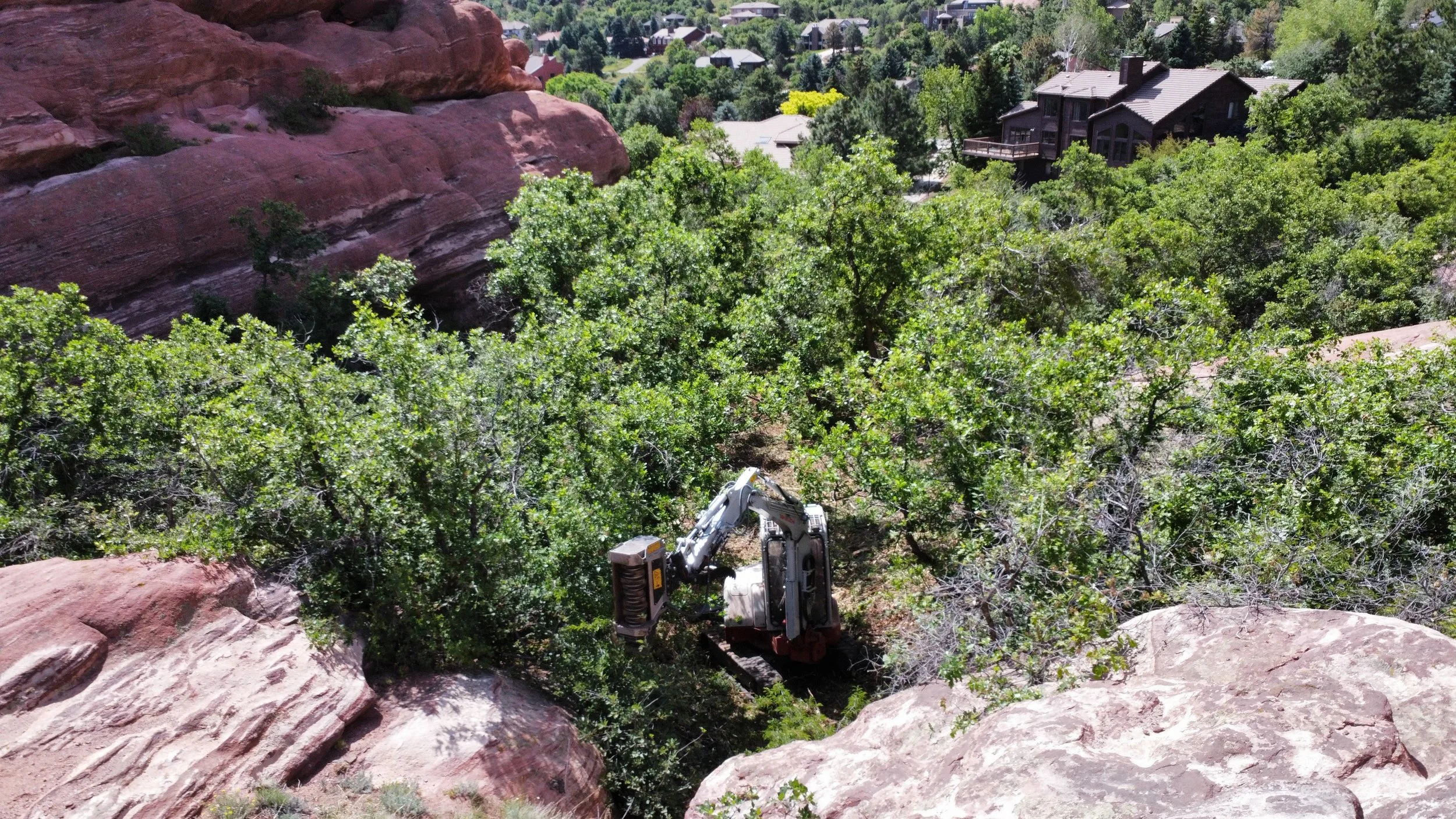 An Excavator masticator performing forestry mulching in Morrison Colorado.