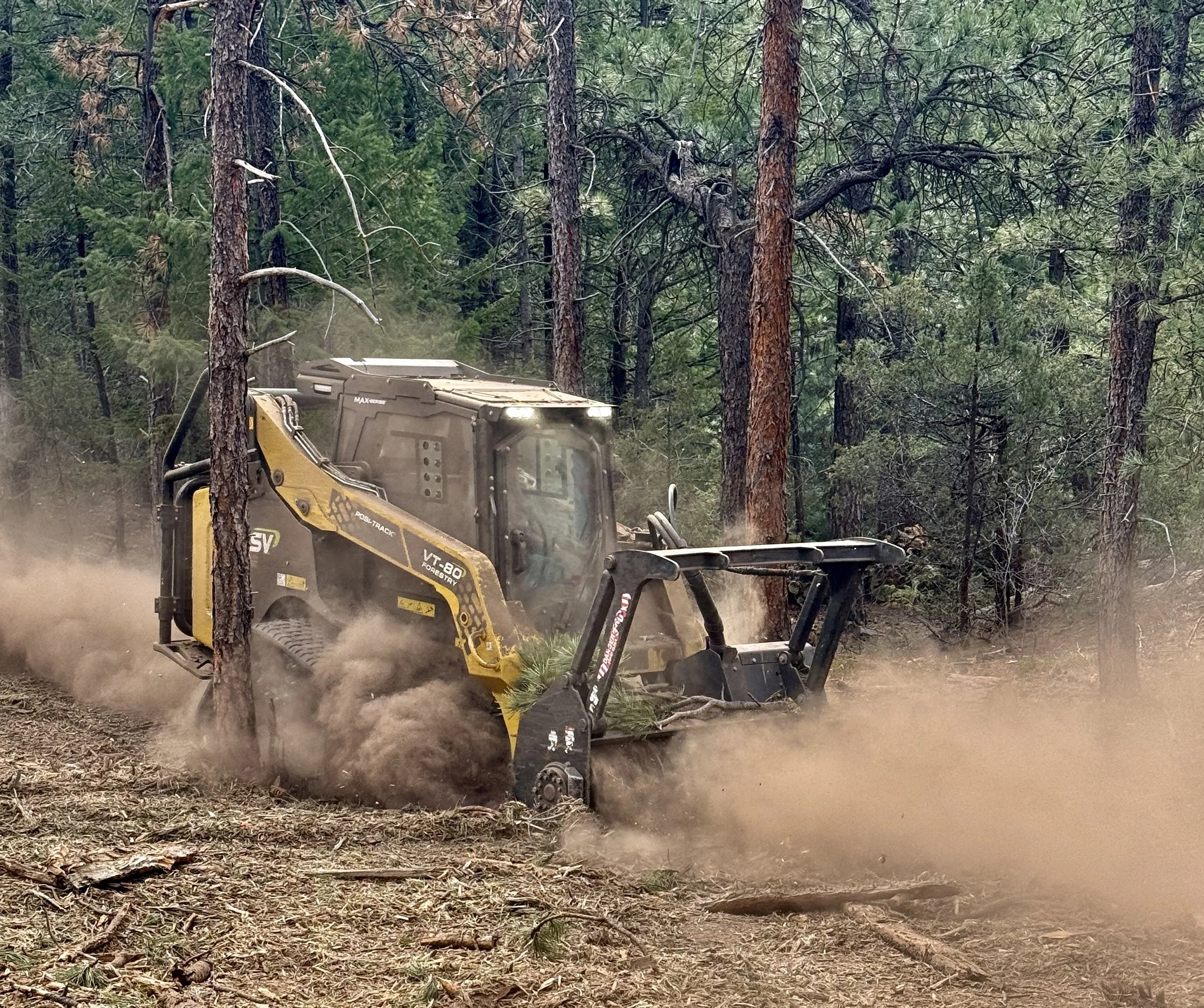 Forestwerx Forestry equipment clears trees in a forest in Evergreen Colorado