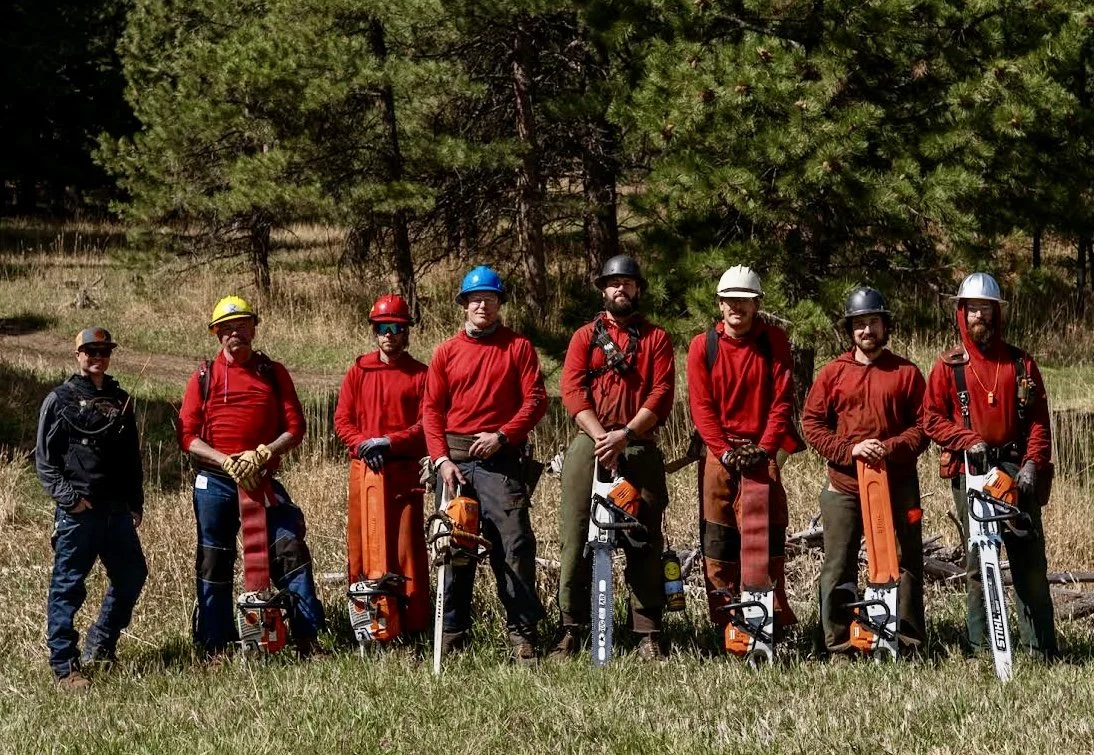 Group of eight workers in safety gear standing in a grassy area with trees in the background, holding chainsaws.