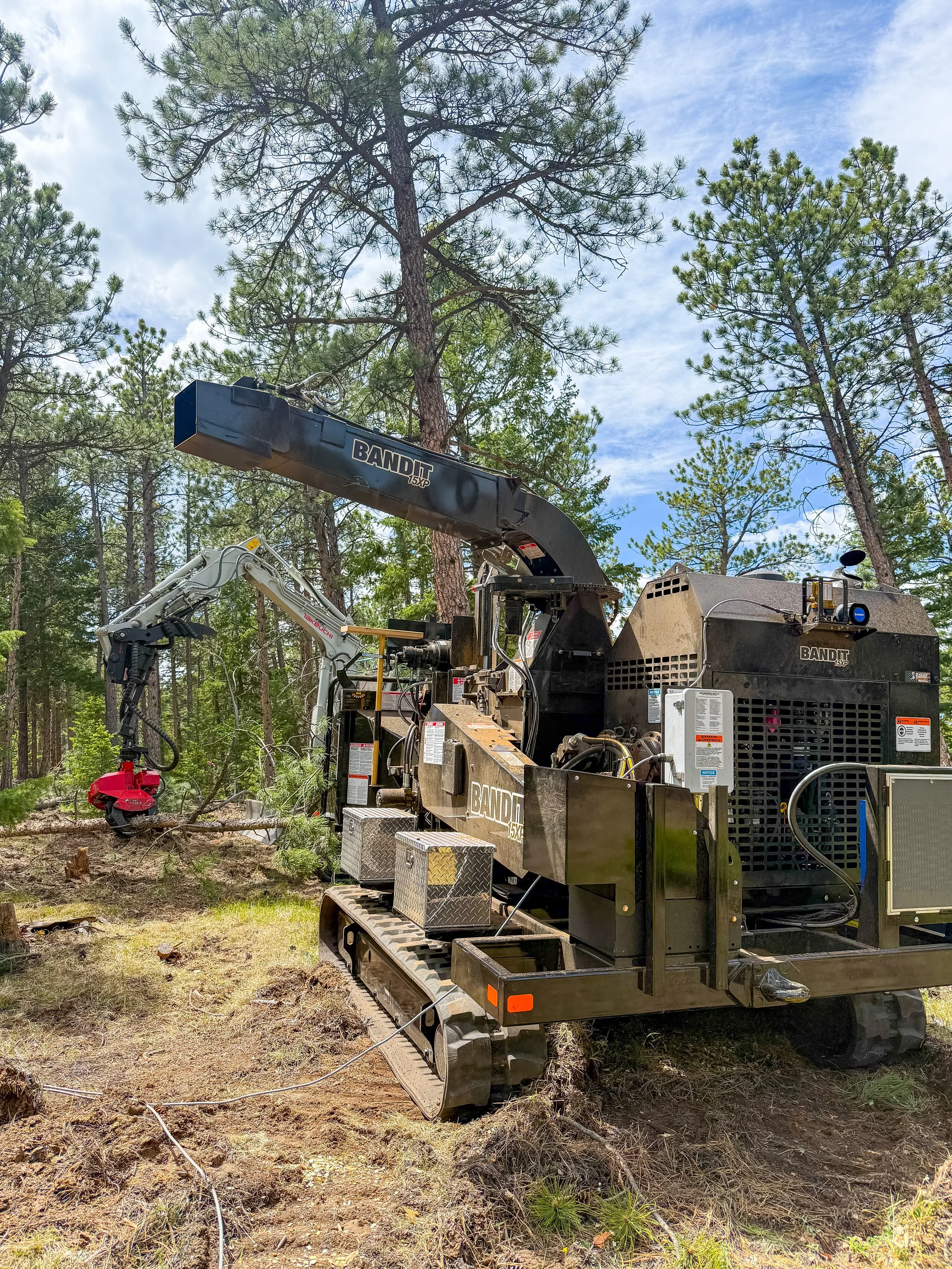 A large black forestry crane with the label 'BANDIT' is positioned in a forested area, surrounded by tall pine trees and patches of dirt and debris on the ground.