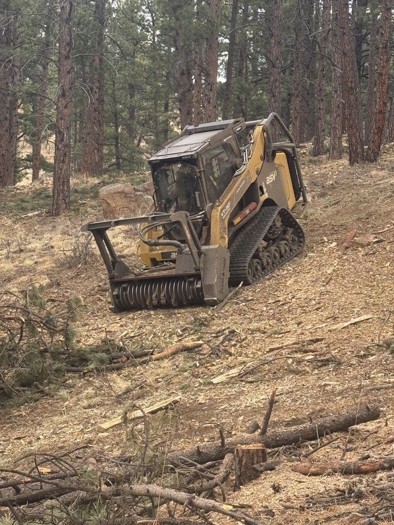 A Forestwerx forestry mulcher cleaning slash from mountain pine beetle treatment in Evergreen Colorado.