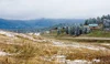 Conifer CO urban interface contractors