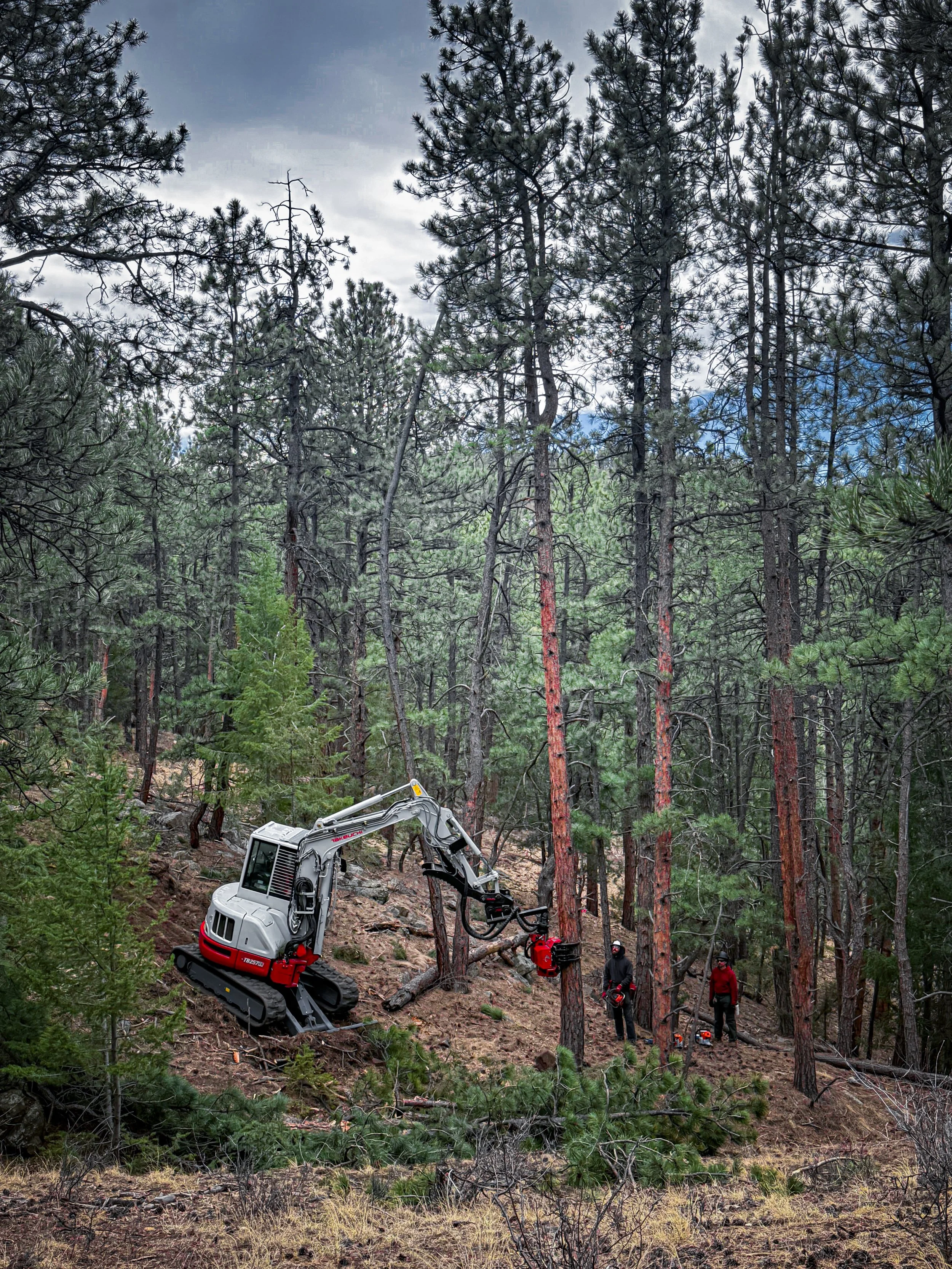Logging & Forest Agriculture