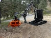 Logging / Forest Agriculture