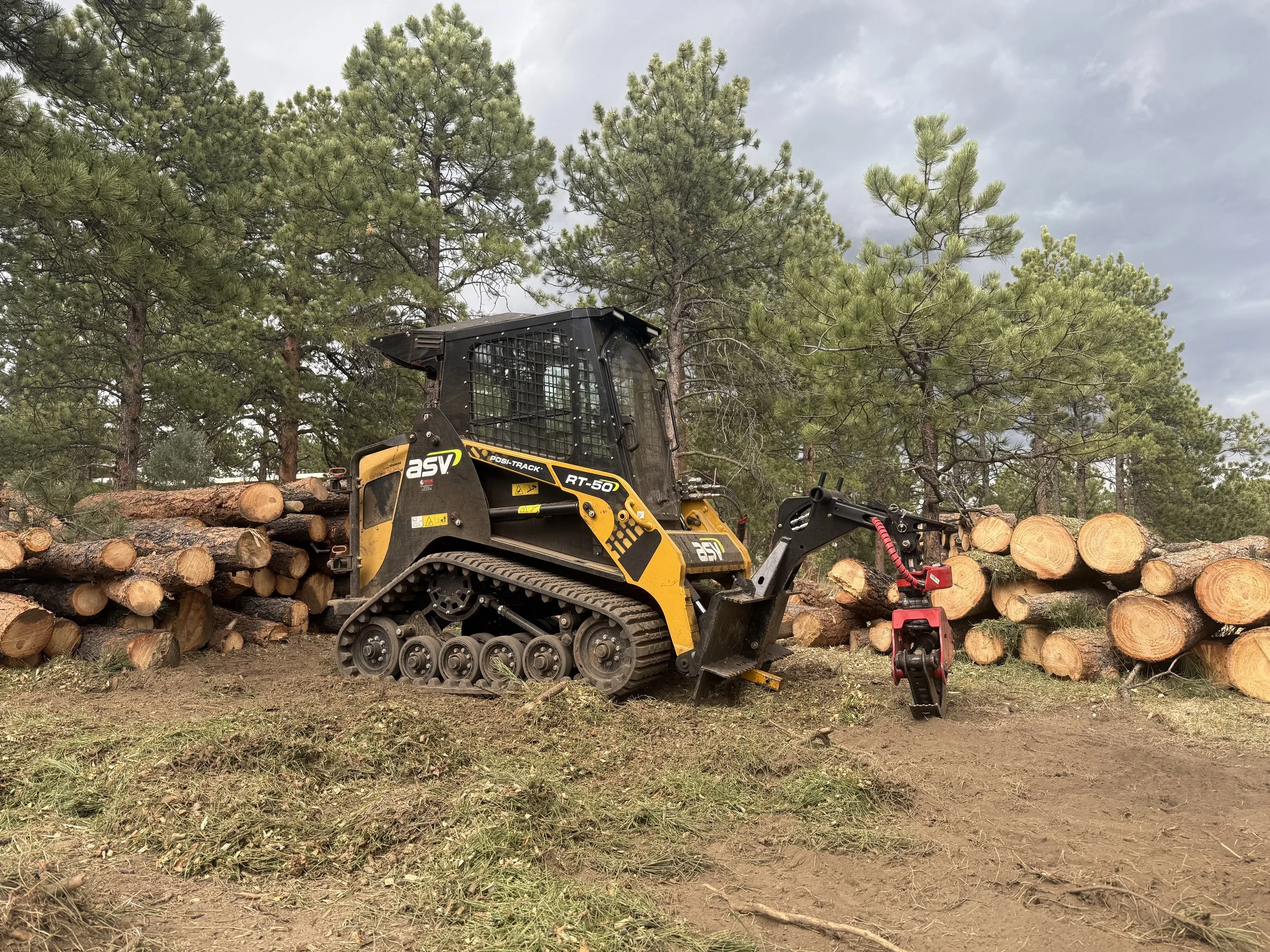 A skid steer stacking logs on a defensible space project in Evergreen Colorado.