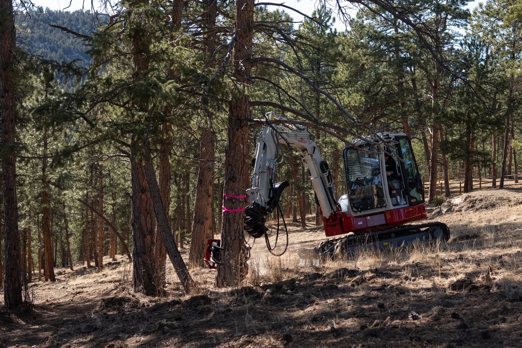 An excavator removing tree for wildfire mitigation in Evergreen Colorado