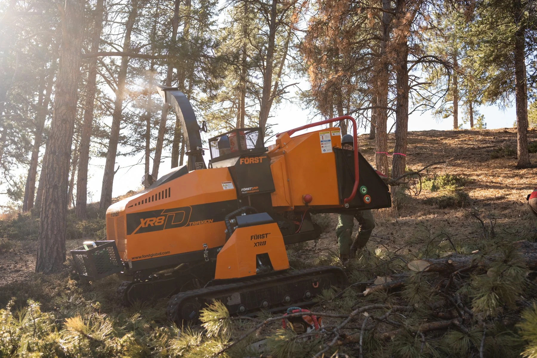 Forestwerx using an orange Forst wood chipper to chip branches in a forested area with tall pine trees.