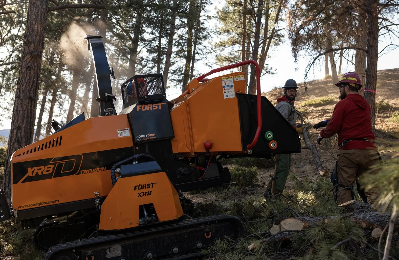 Fire Mitigation & Forestry