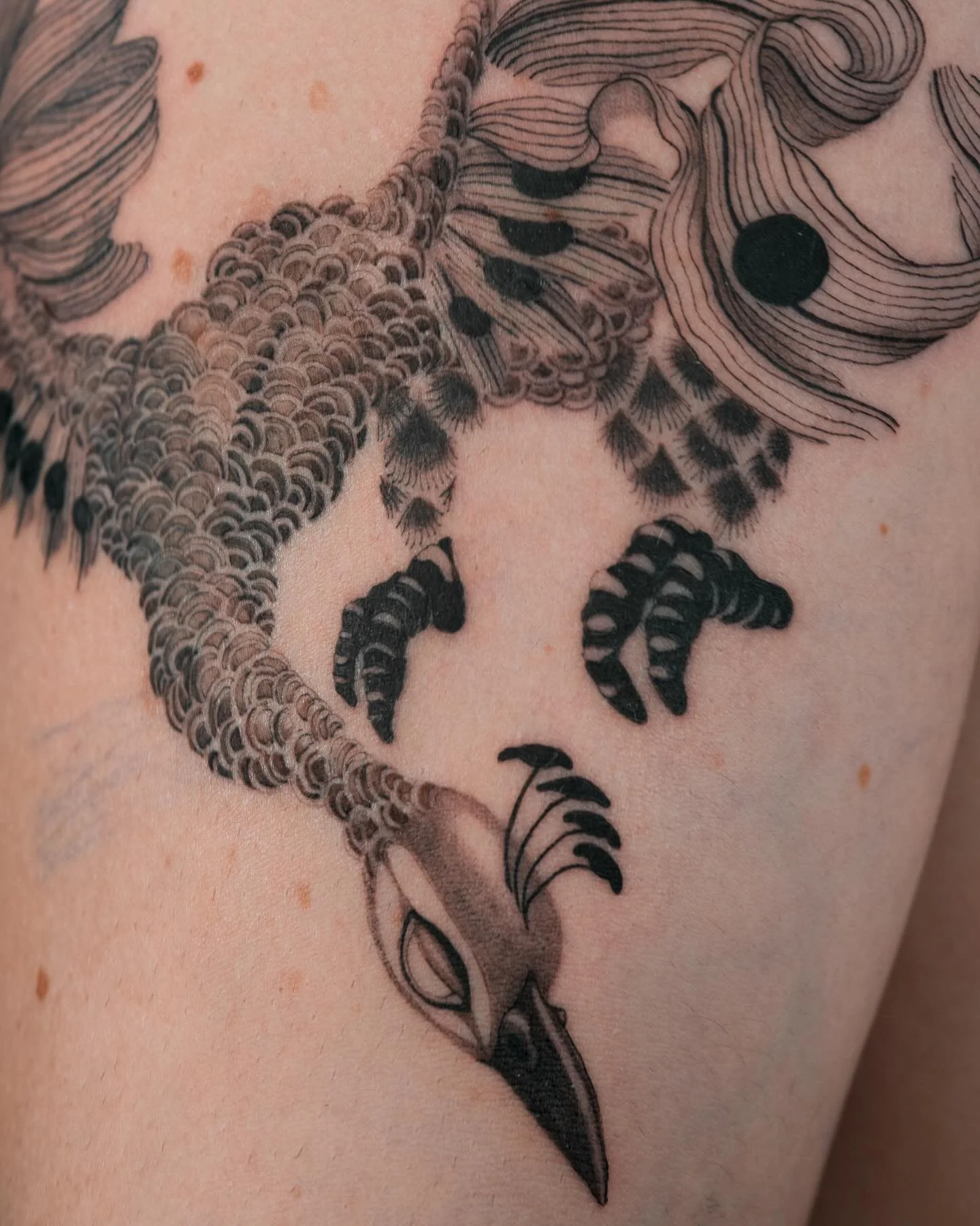 Stoooked on the start of this sleeve! Really enjoying the way my style&rsquo;s been developing. Exploring different textures within the [constraints] of what&rsquo;s tattooable is a challenge but this piece feels like the beginning of something I&rsq