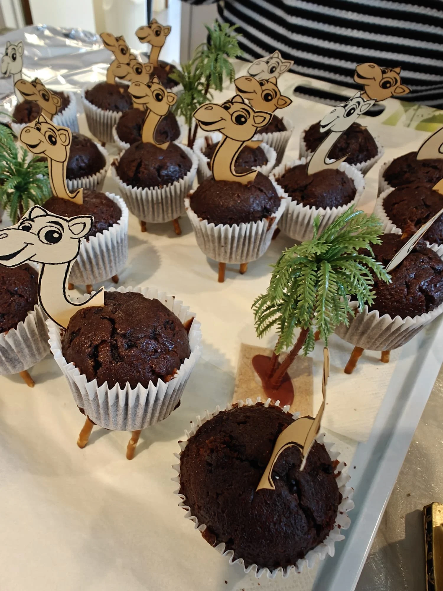 WhatsApp Image 2025-11-03 at 20.40.17.jpeg