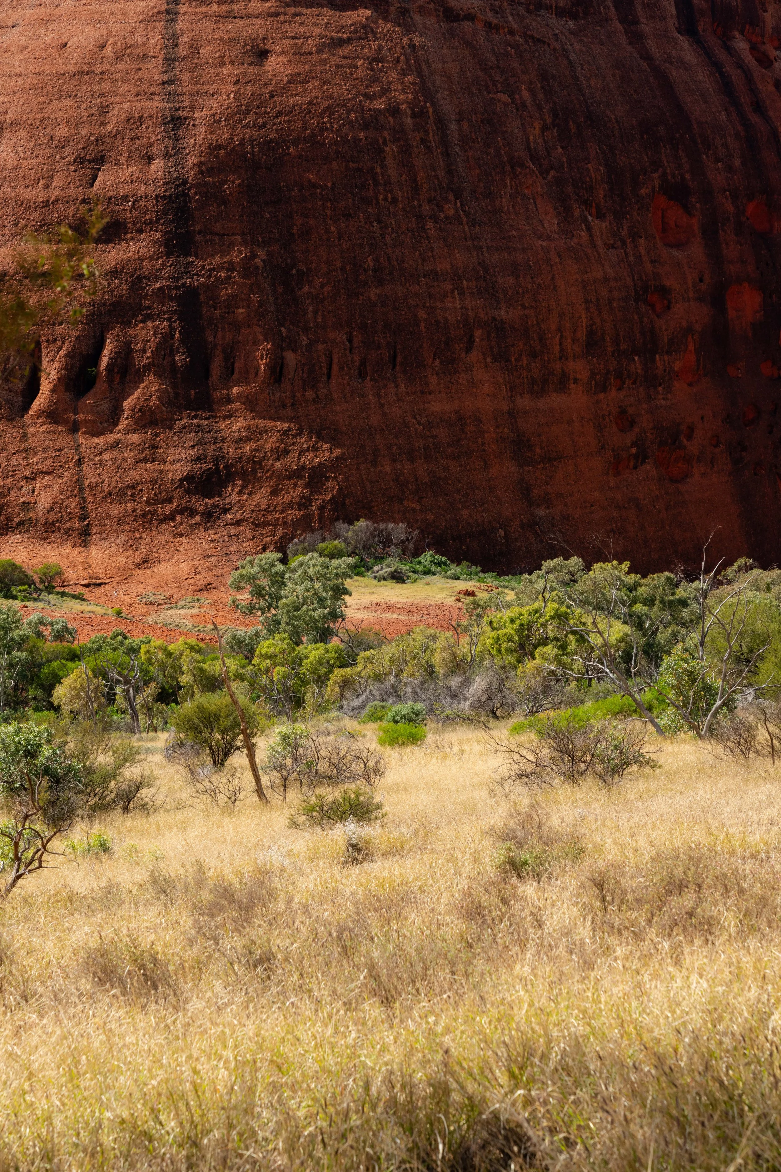 _DSC3957.jpg