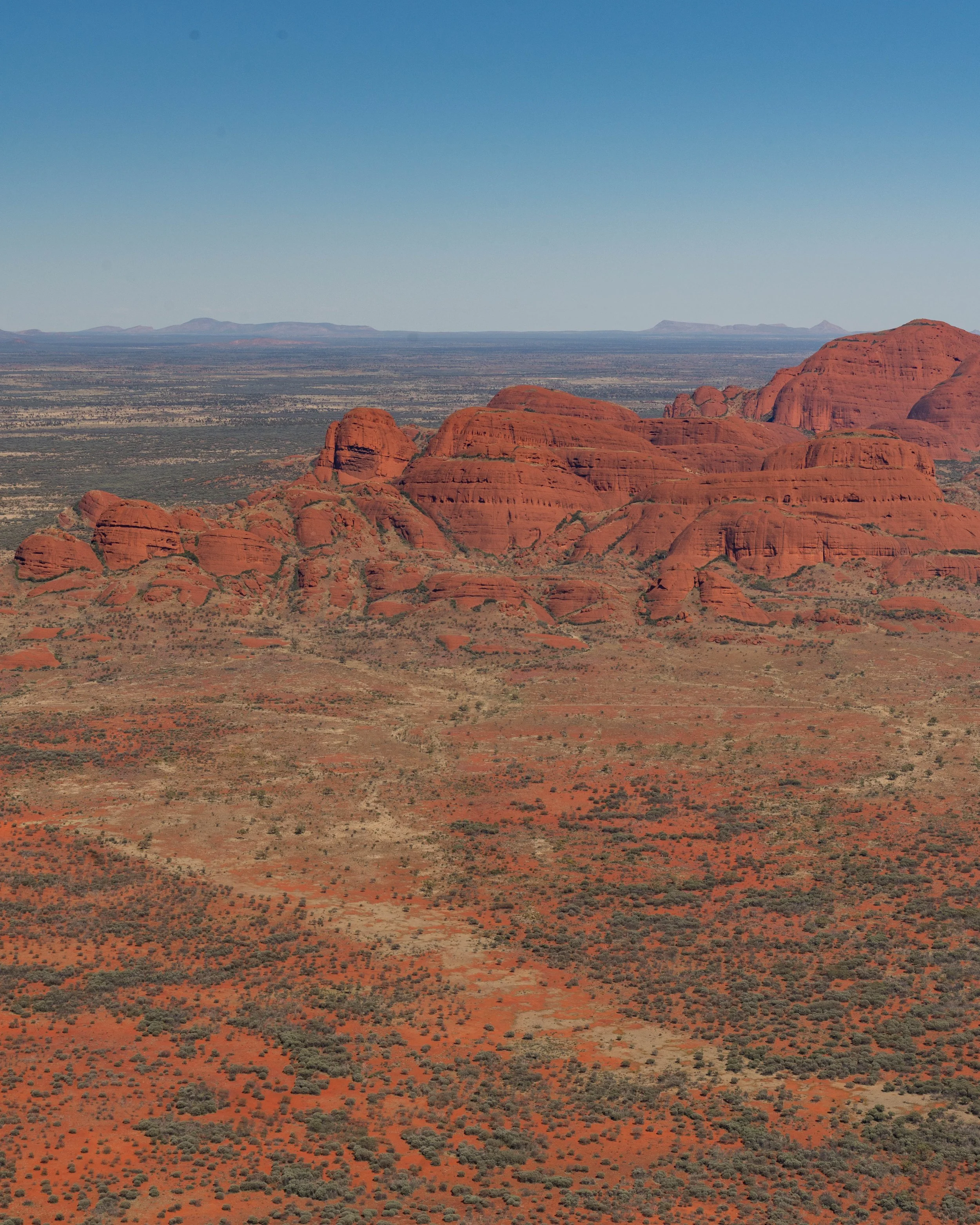 _DSC4208.jpg