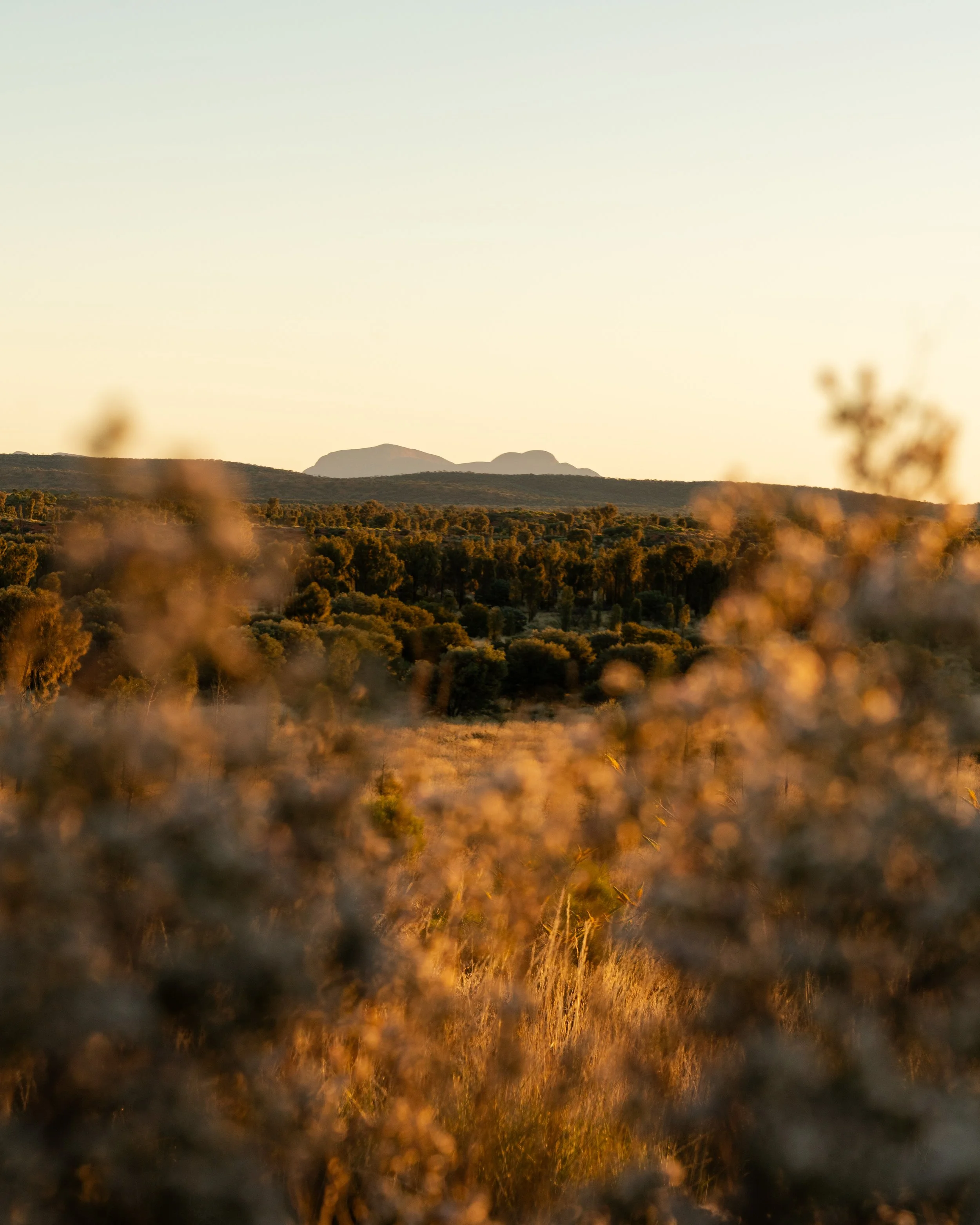 _DSC4055.jpg