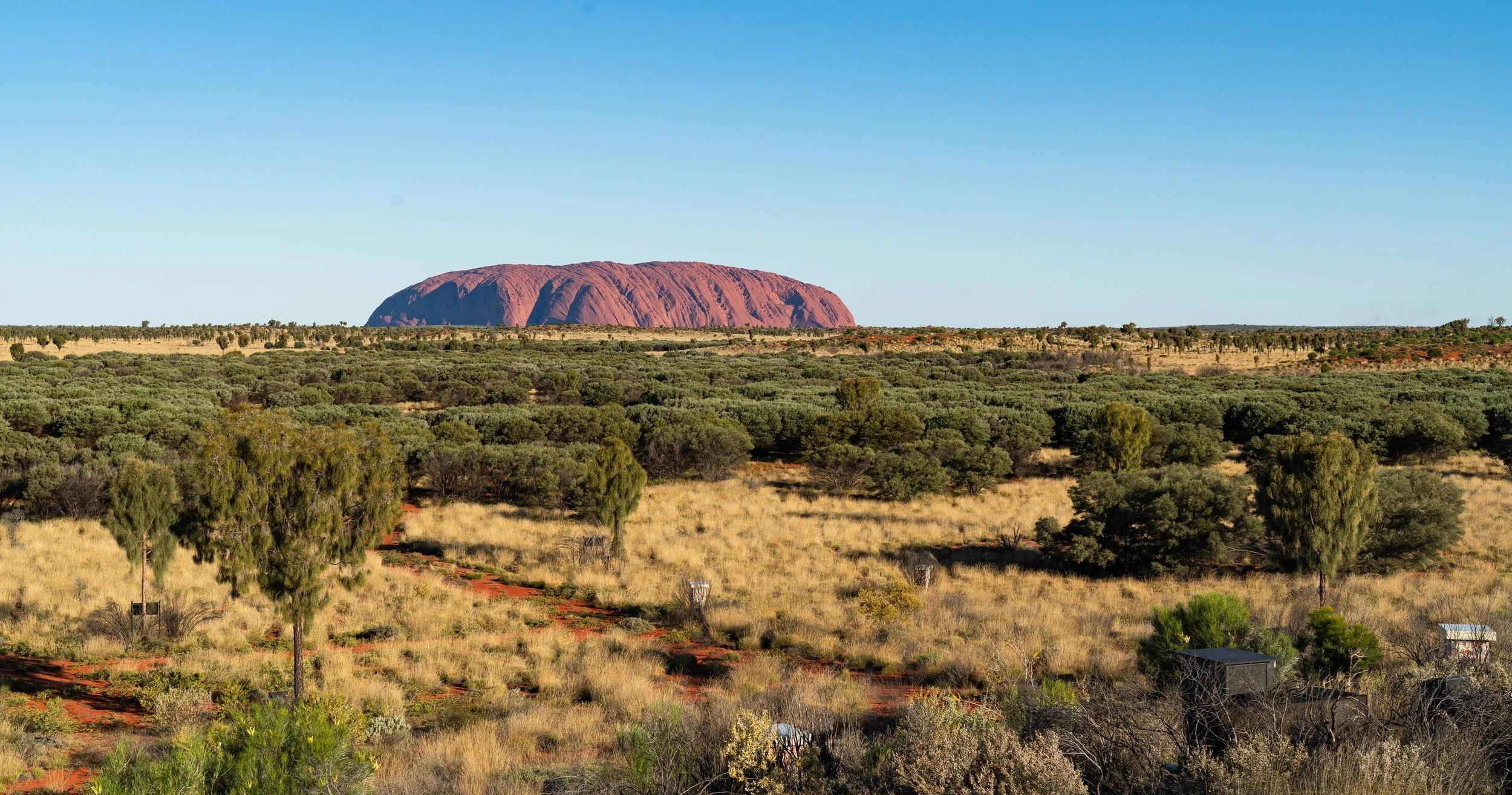 _DSC3783.jpg