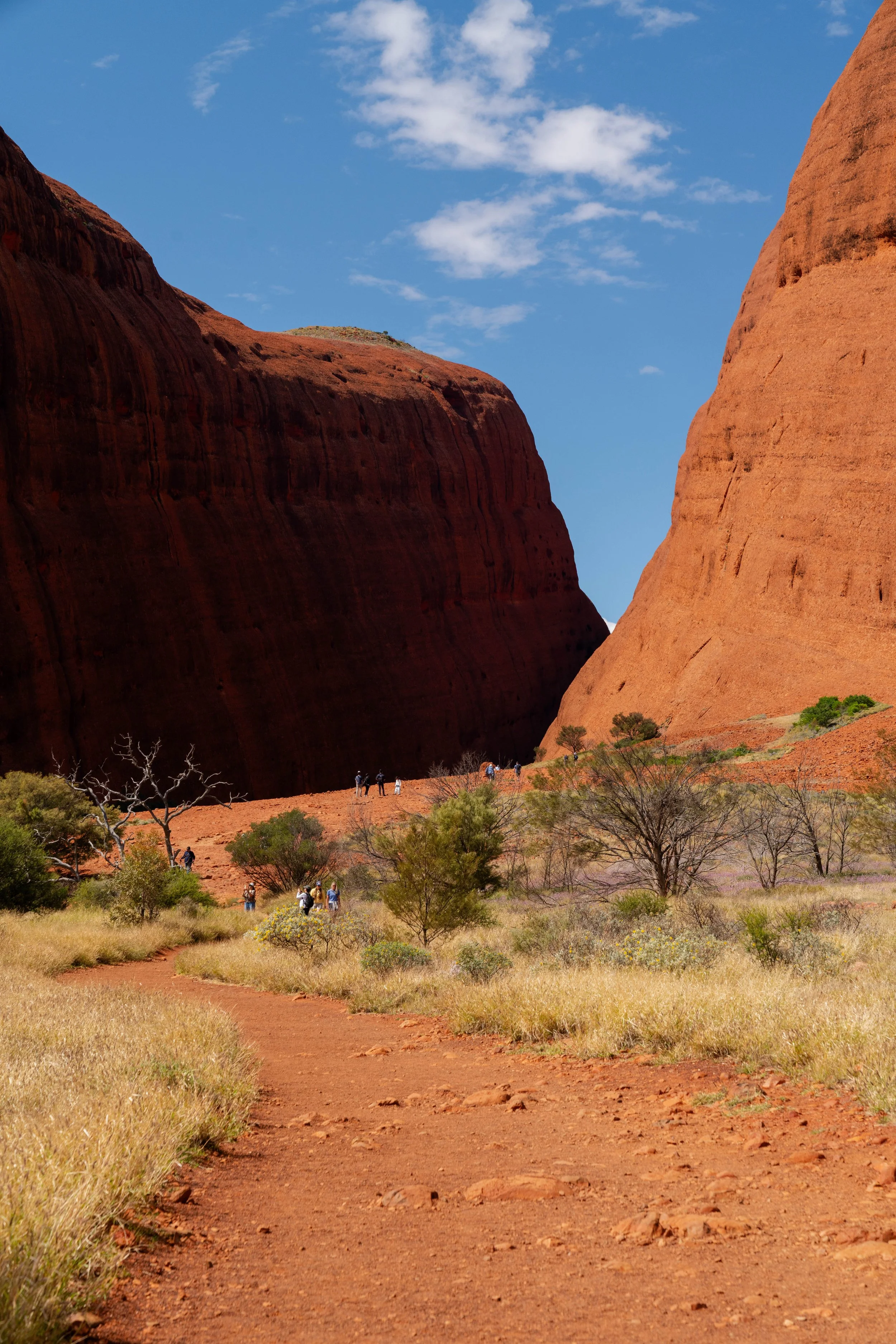_DSC3954.jpg