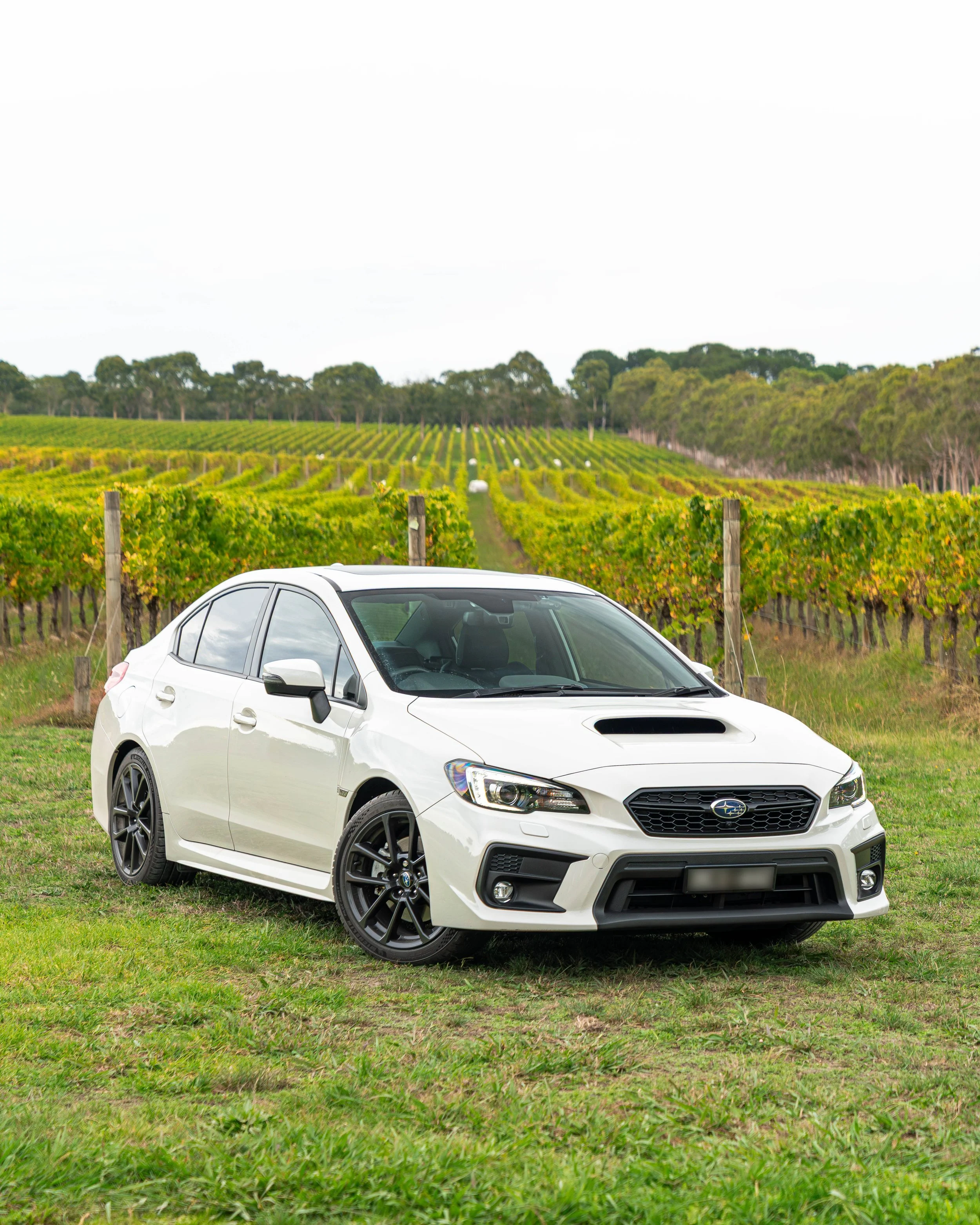 Subie Final 1.jpg