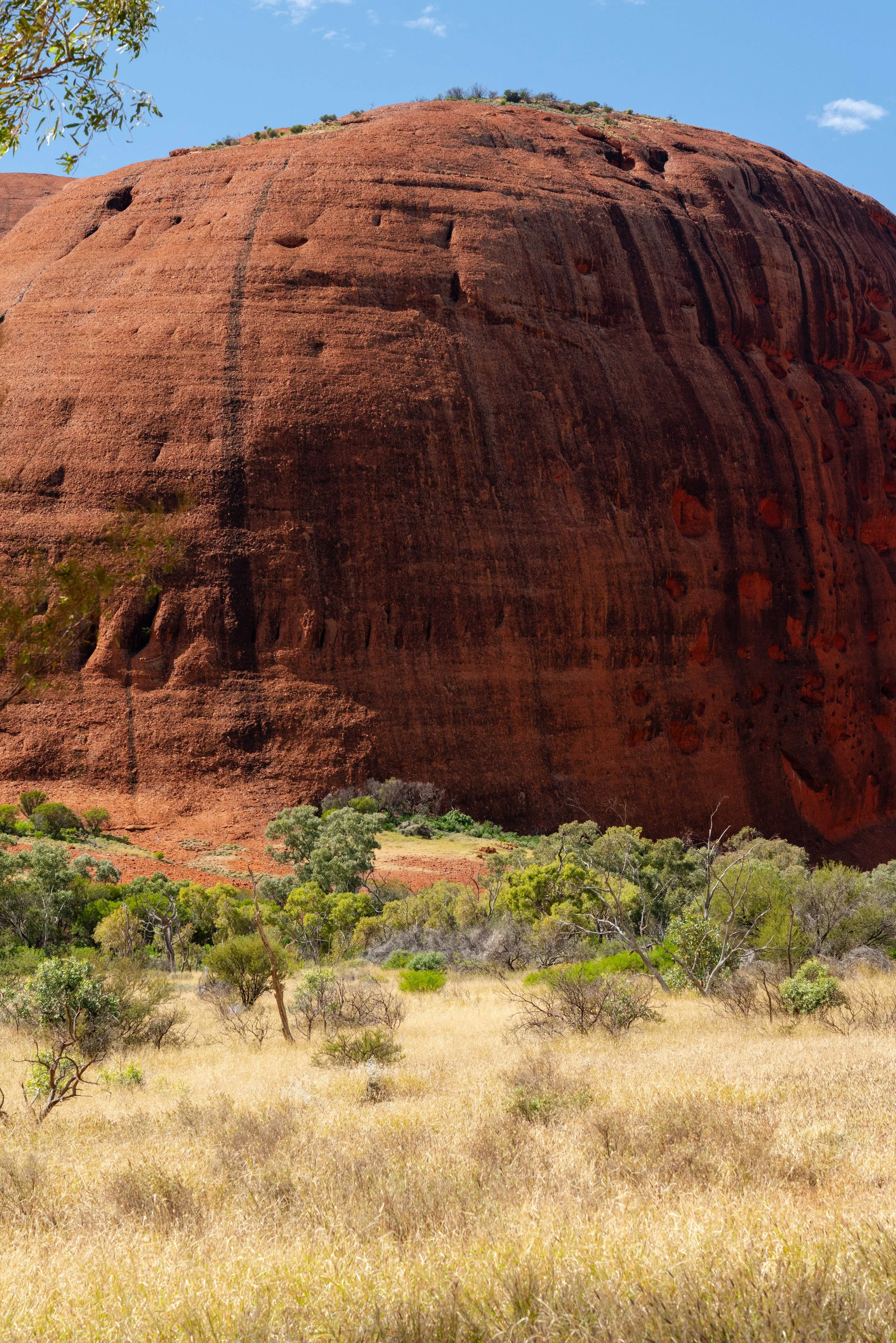 _DSC3959.jpg