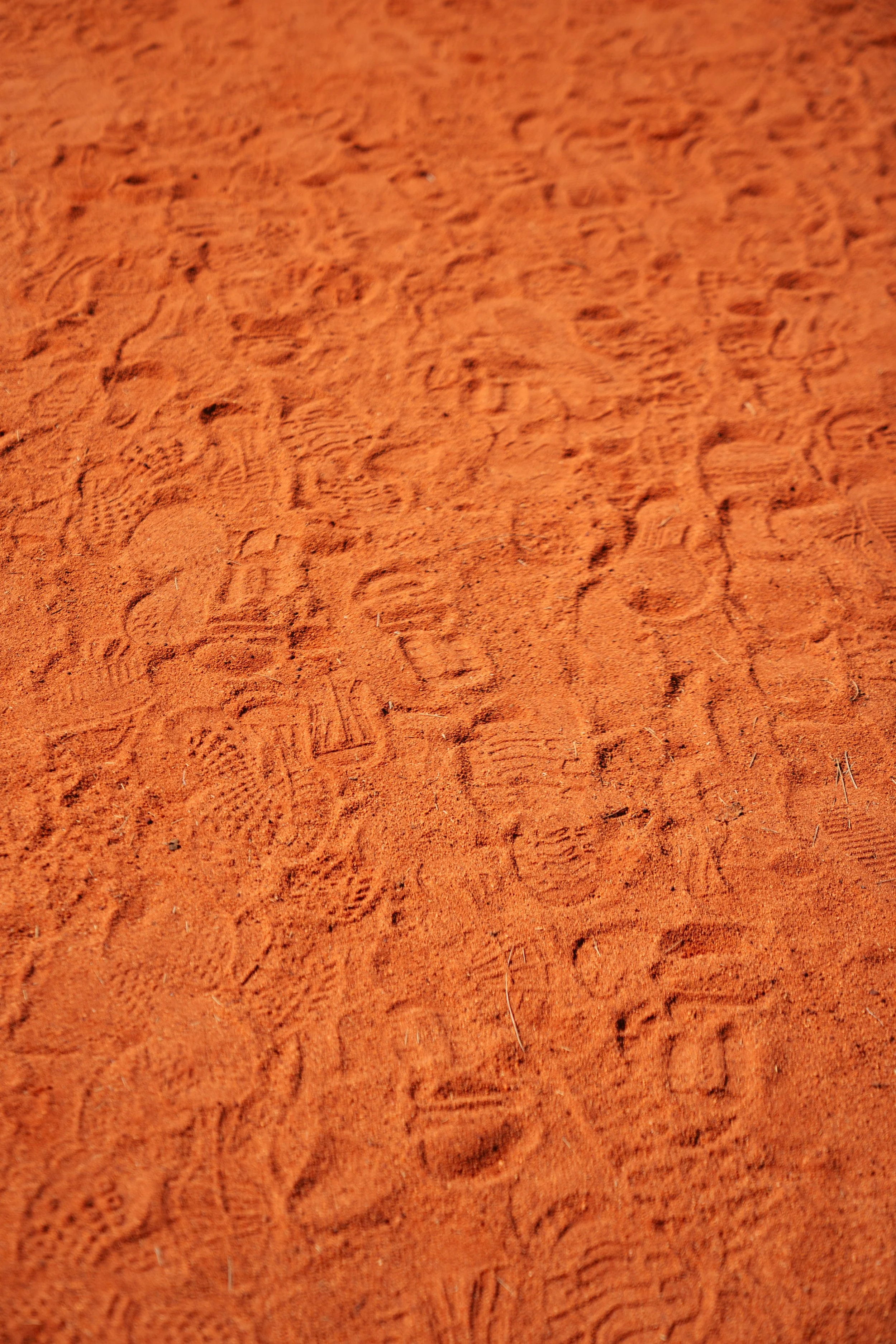 _DSC3837.jpg