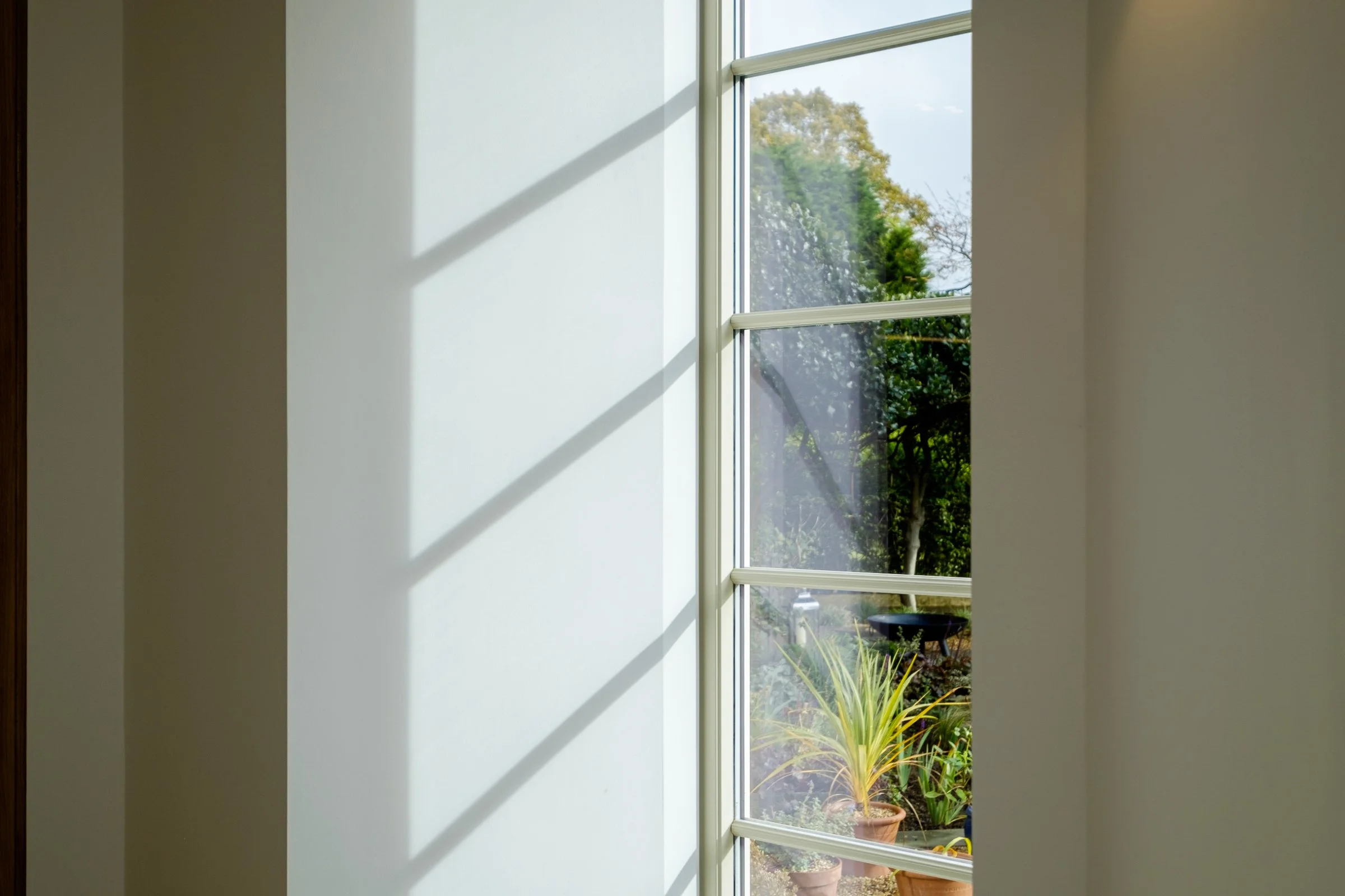 A sunny window casting shadows, with plants visible outside in a garden.