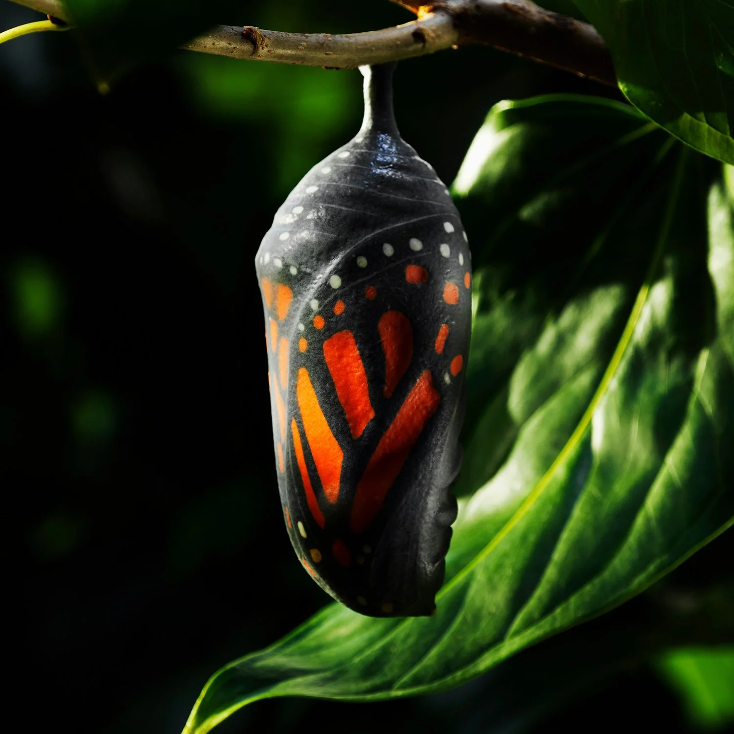 Rising Edge confirms sale of Rising Edge D&amp;O to K2 International