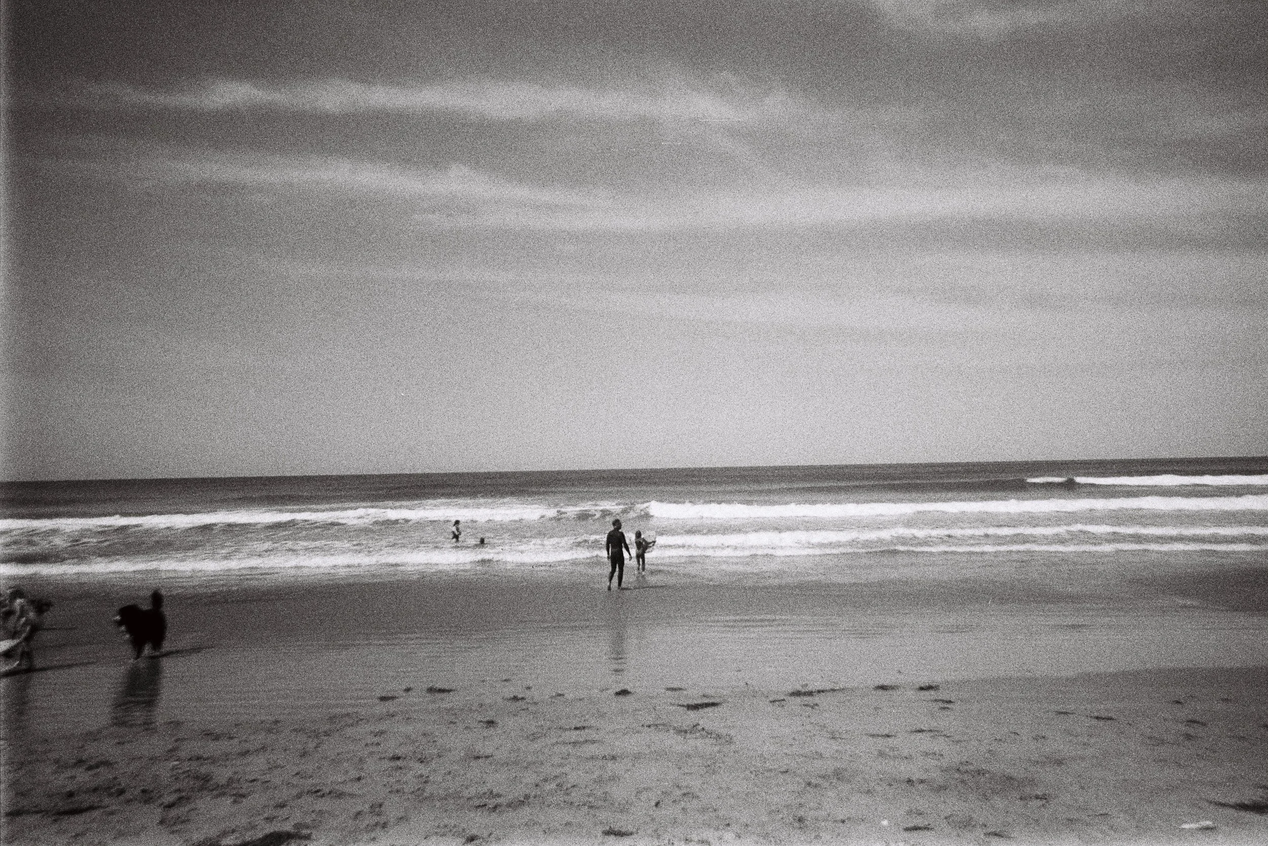 radical thought of kindness